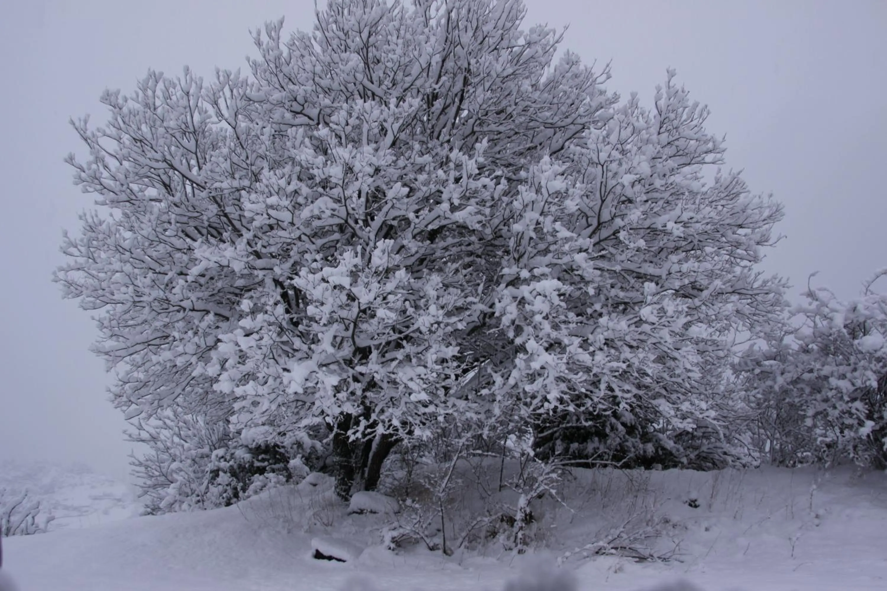 Winter in Apartahotel Tres Quiñones