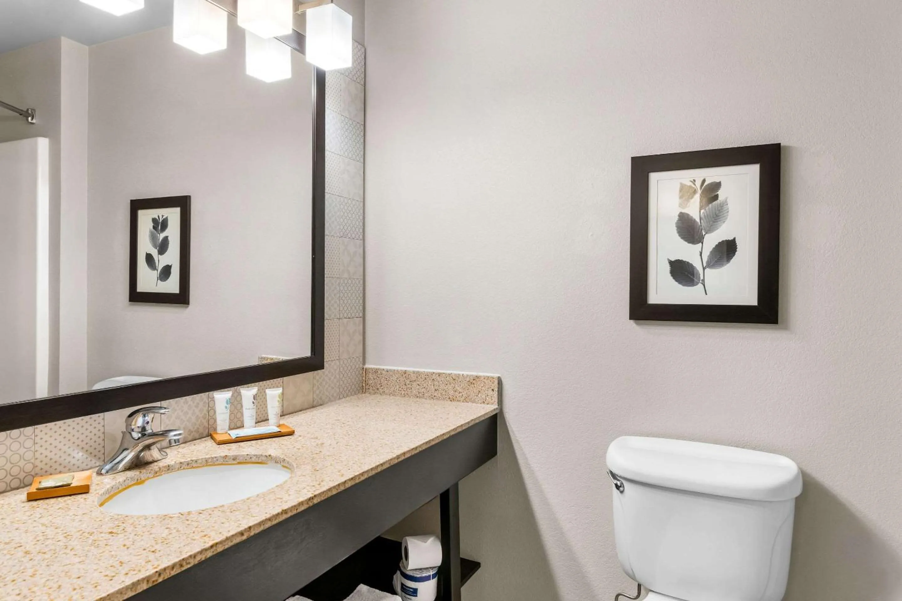 Bedroom in Country Inn & Suites by Radisson, Hot Springs, AR