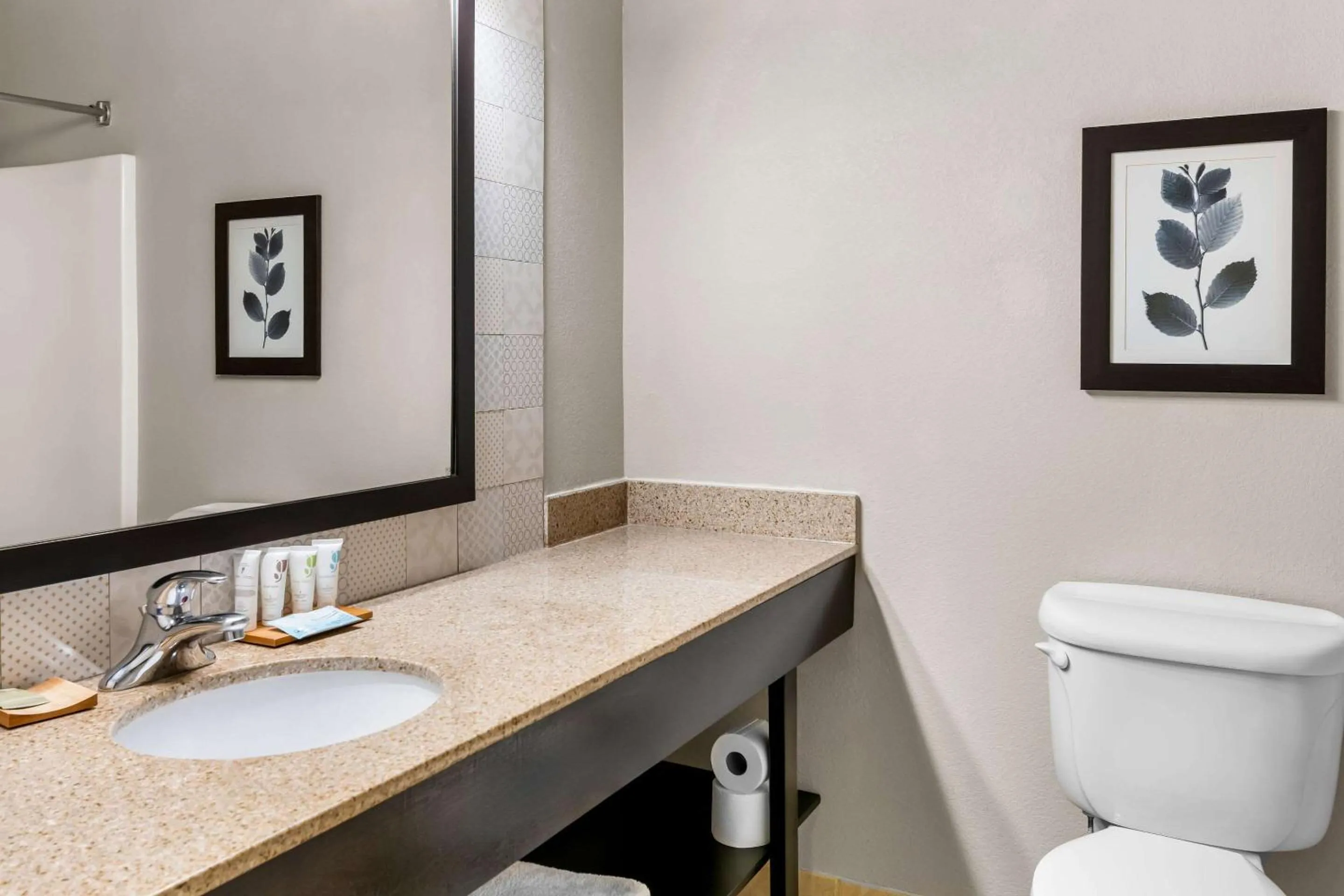 Bedroom in Country Inn & Suites by Radisson, Hot Springs, AR