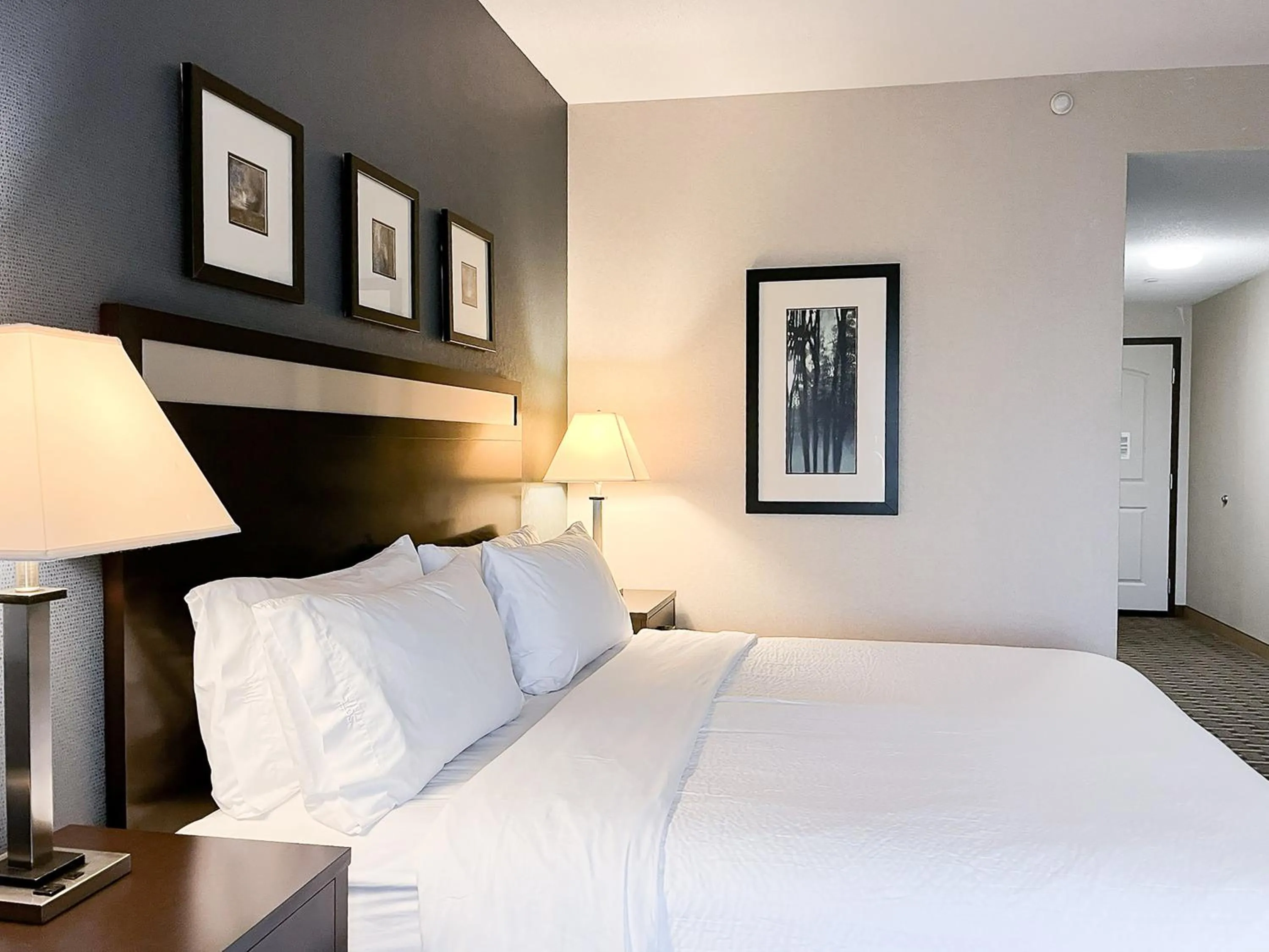 Photo of the whole room, Bed in Holiday Inn Express & Suites Morton Peoria Area by IHG