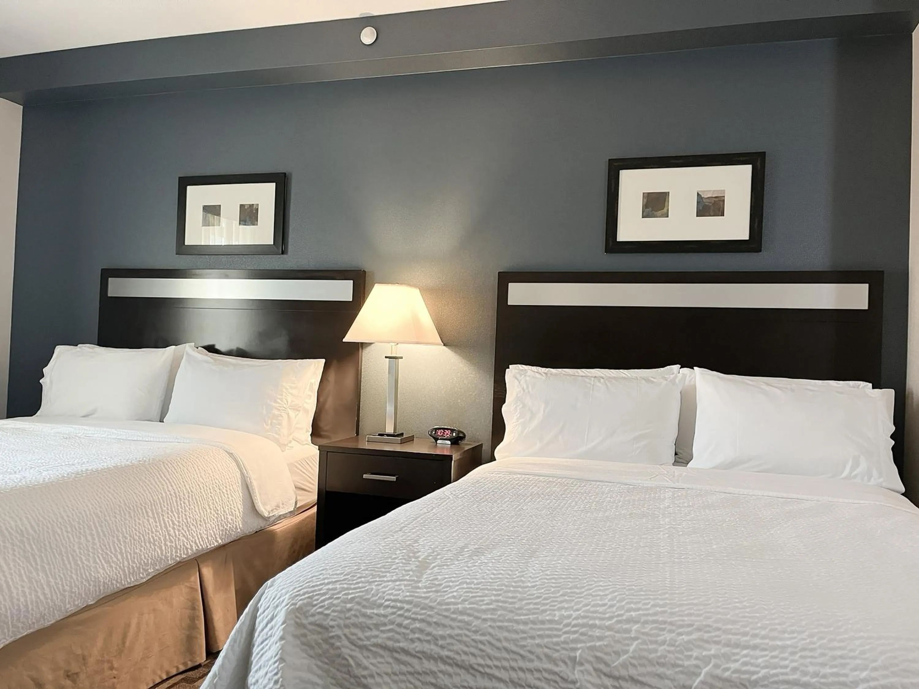 Photo of the whole room, Bed in Holiday Inn Express & Suites Morton Peoria Area by IHG