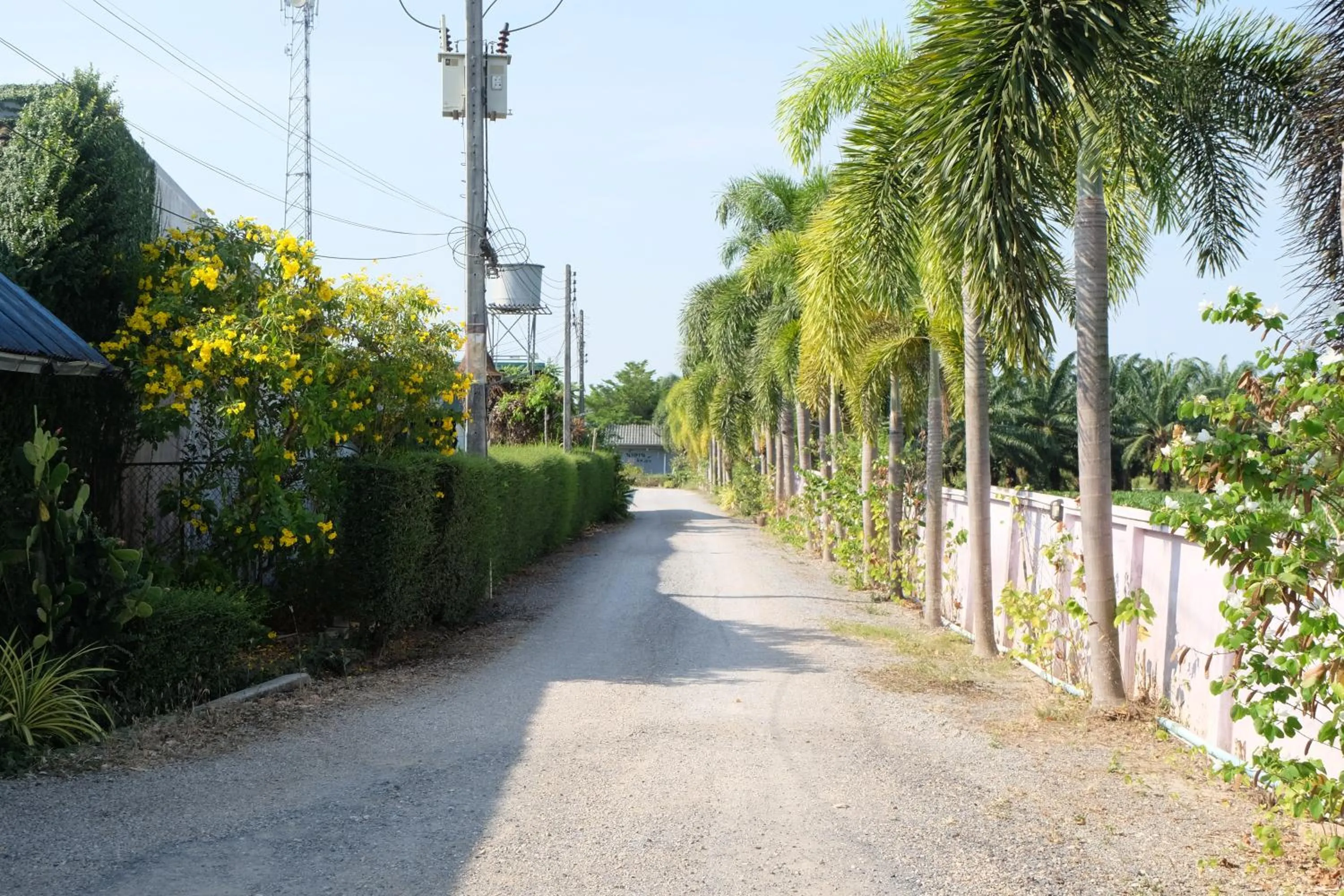 Day in Numjaan Resort