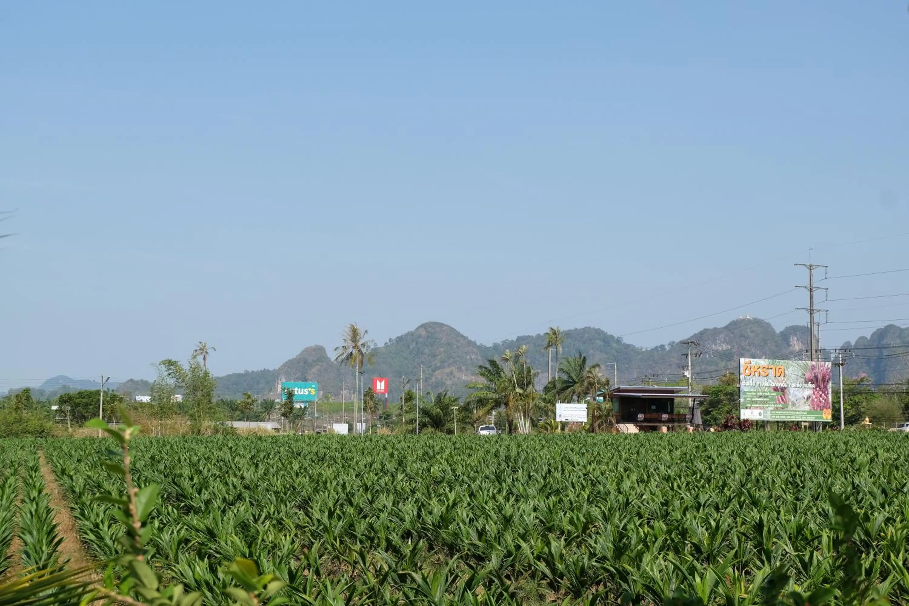 Day in Numjaan Resort