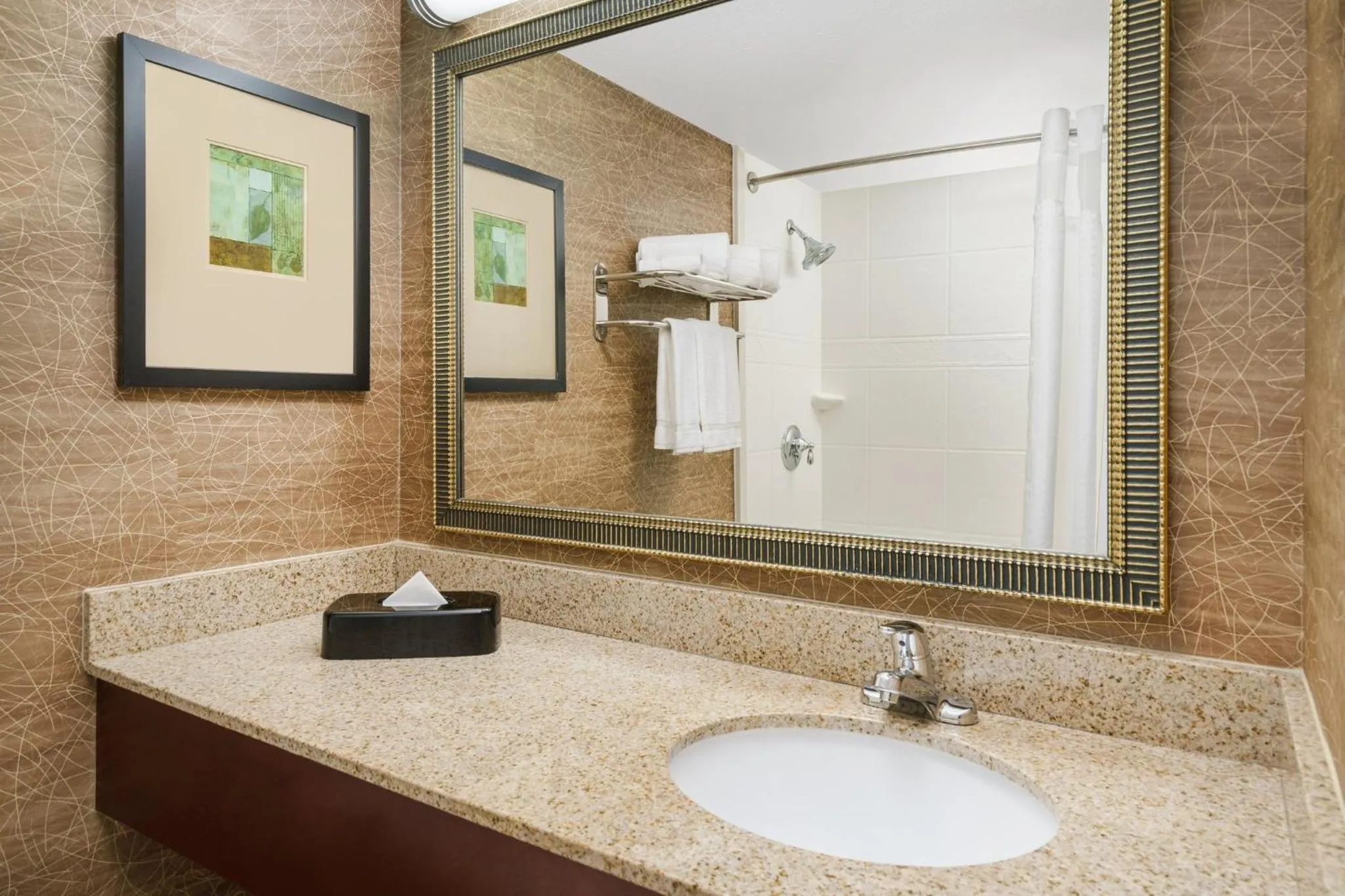 Bathroom in Holiday Inn Express Boston Brockton by IHG