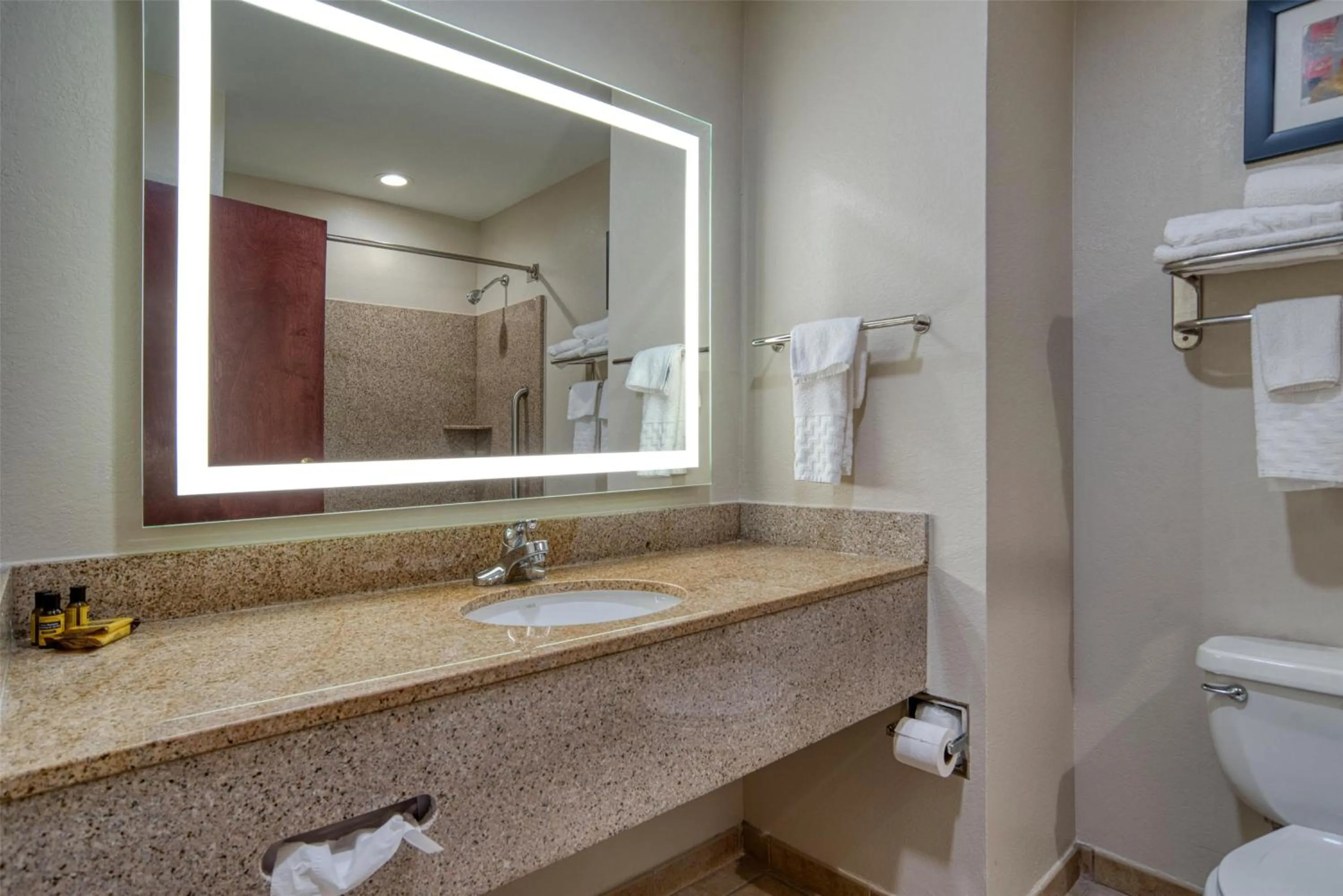 Bathroom in Best Western Plus Philadelphia-Choctaw Hotel and Suites