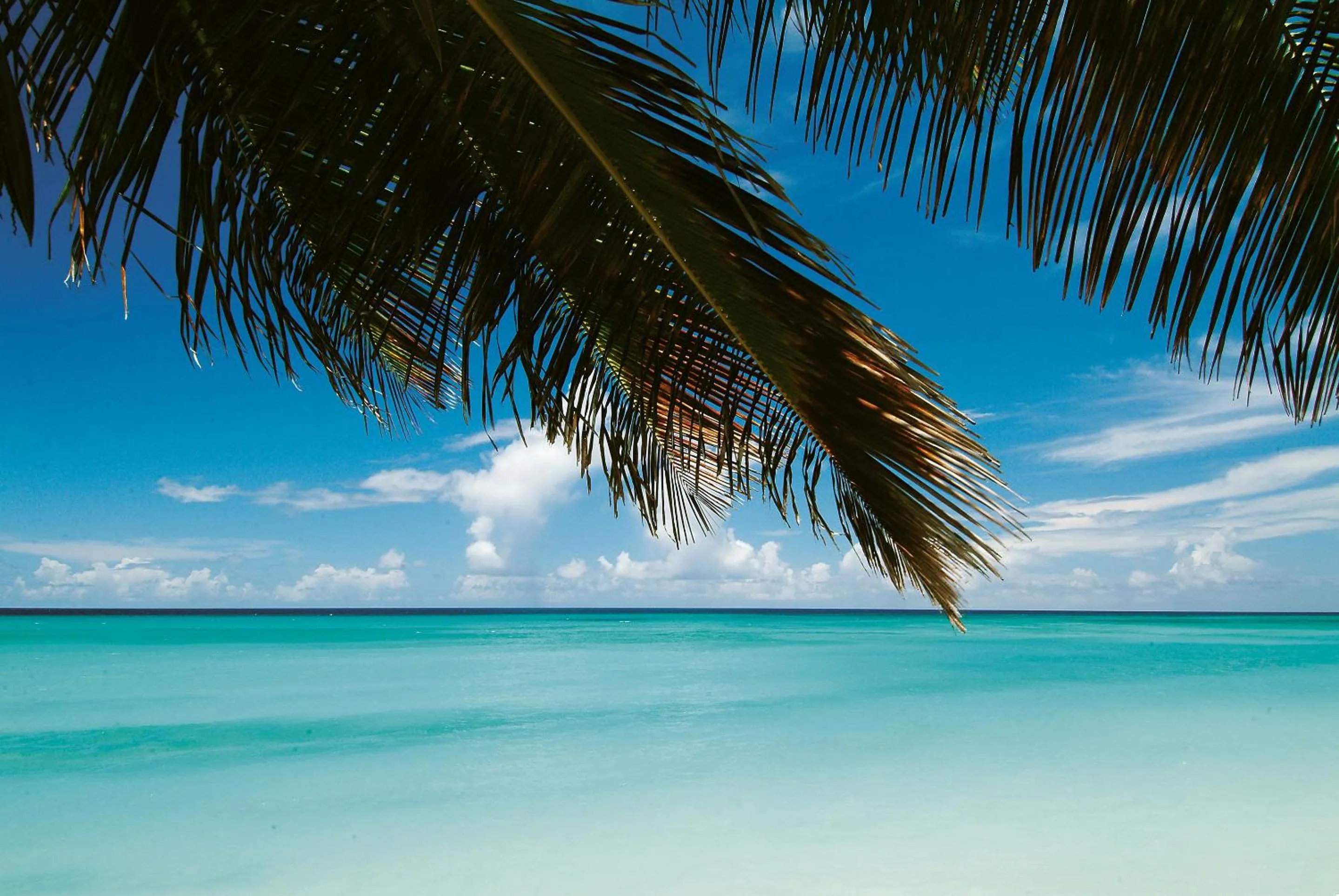 Beach in Butterfly Beach Hotel