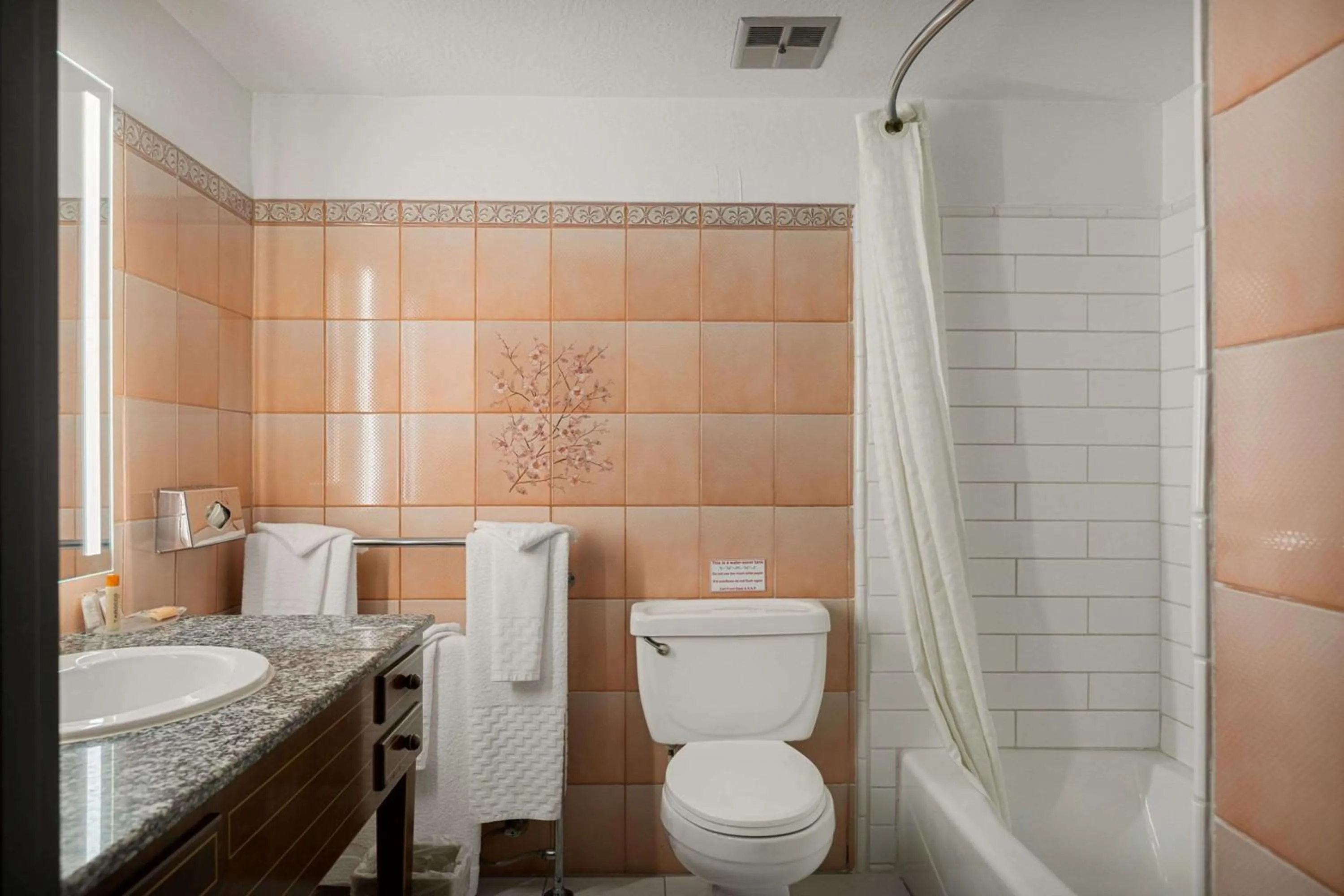 Bathroom in Chateau Big Bear Boutique Hotel, BW Signature Collection