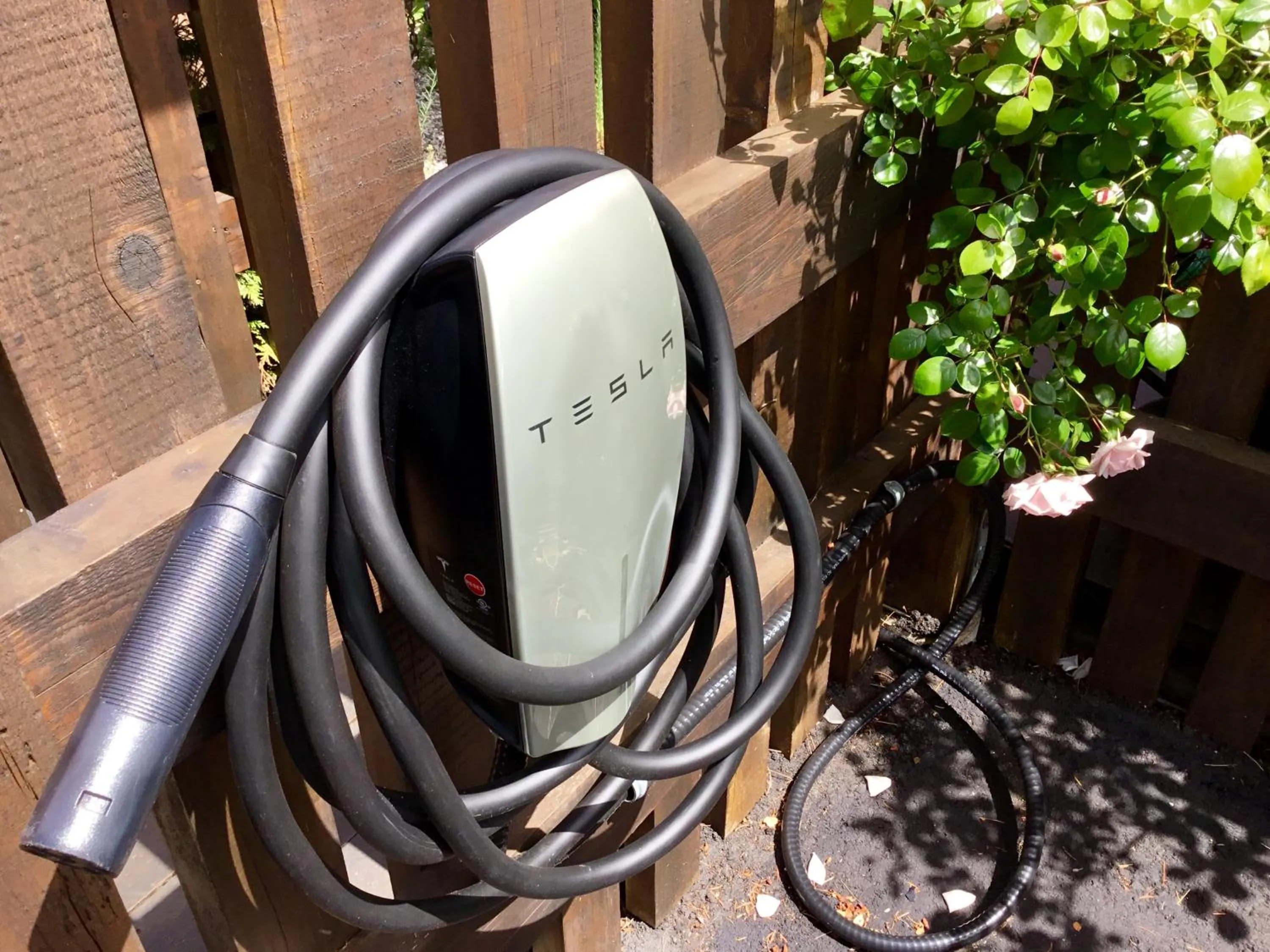 Entertainment in The Tuwanek Hotel and Spa