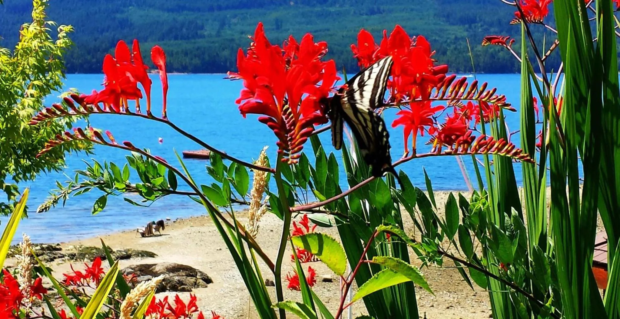 Garden in The Tuwanek Hotel and Spa