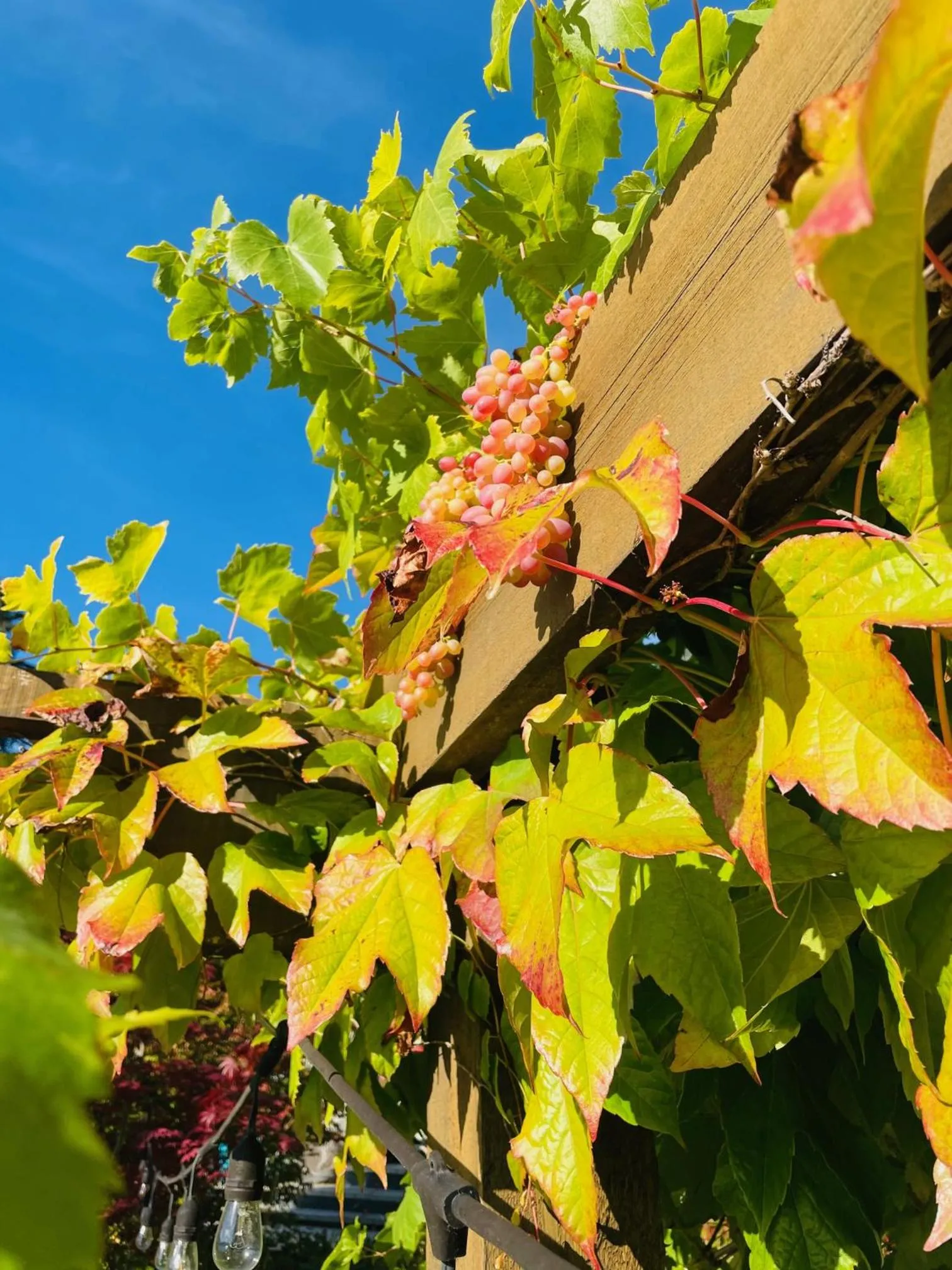 The Tuwanek Hotel and Spa