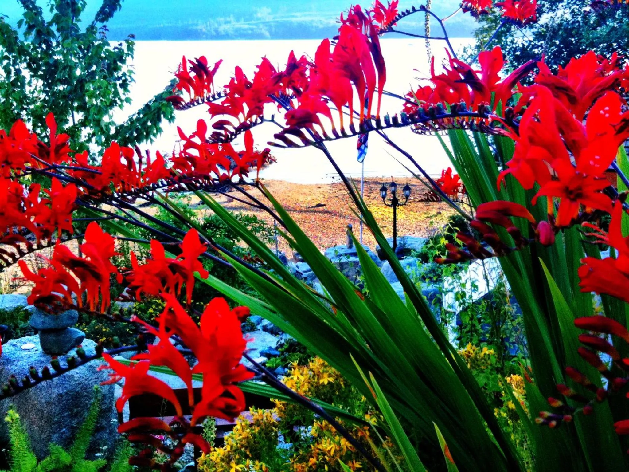 Garden in The Tuwanek Hotel and Spa