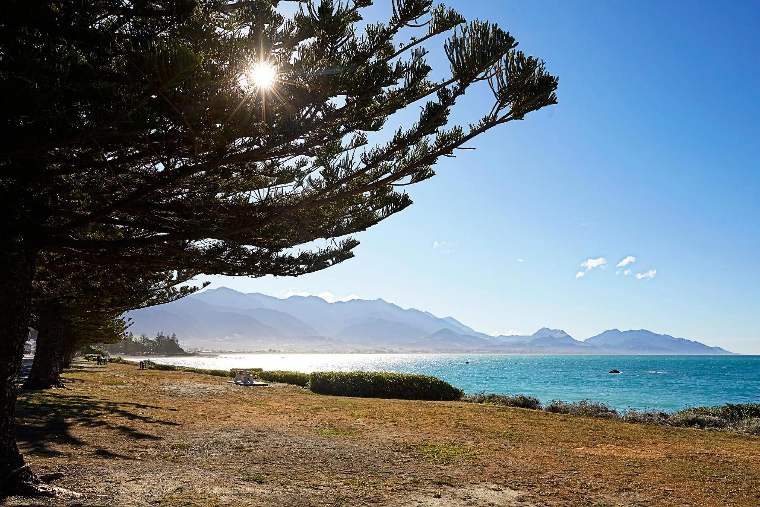 Day in Boutique Hotel Kaikoura