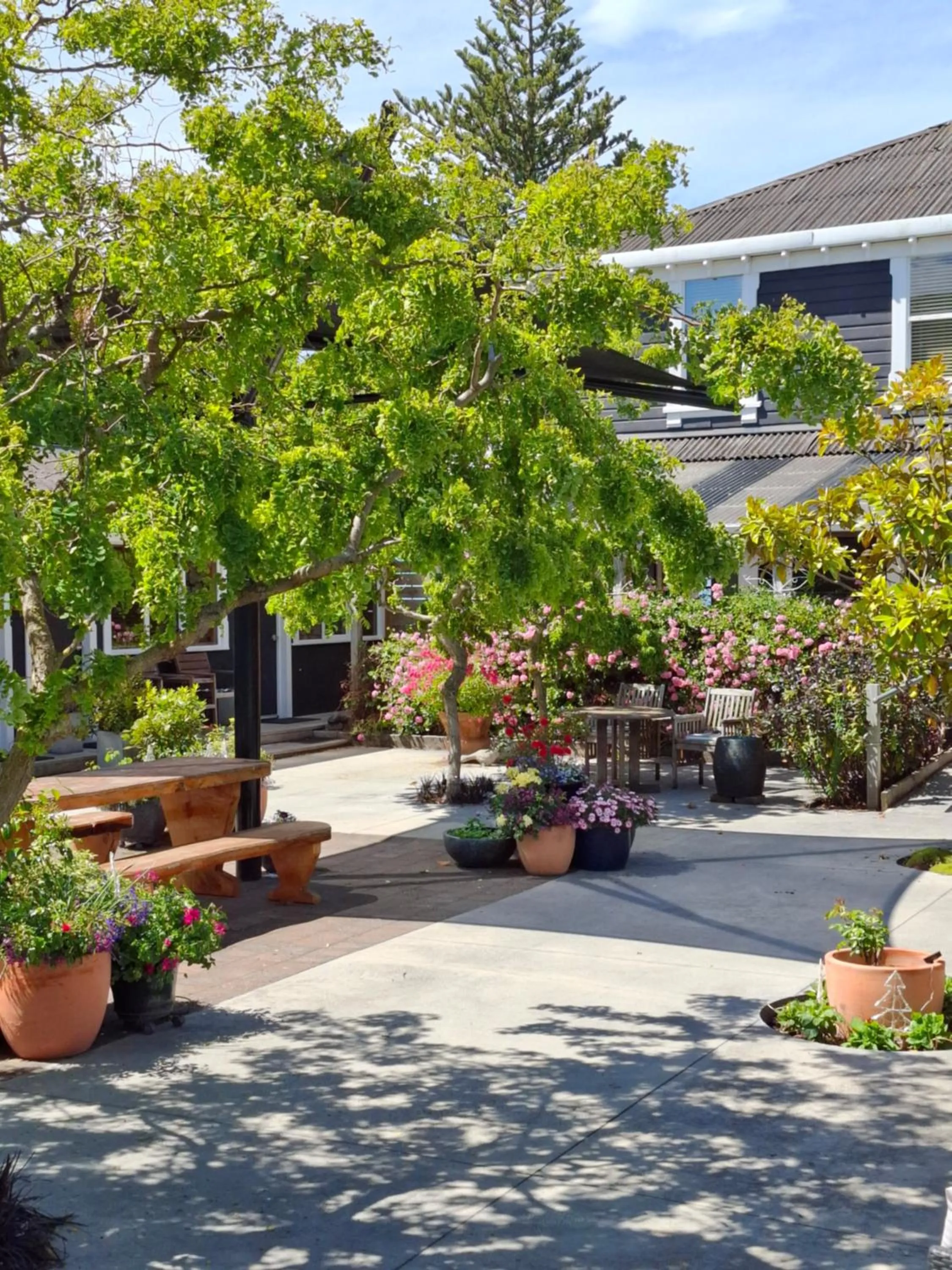 Boutique Hotel Kaikoura