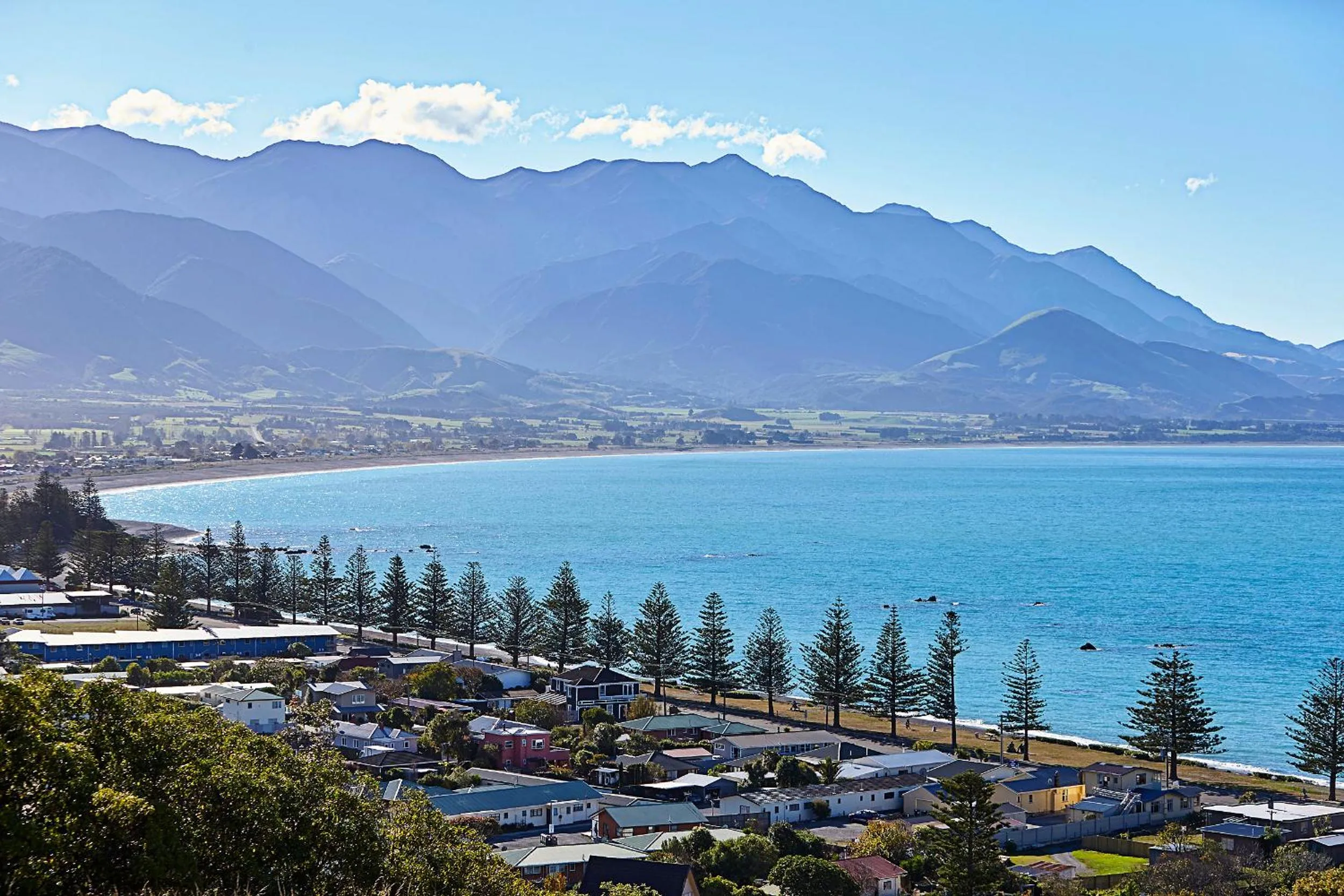 Off site in Boutique Hotel Kaikoura