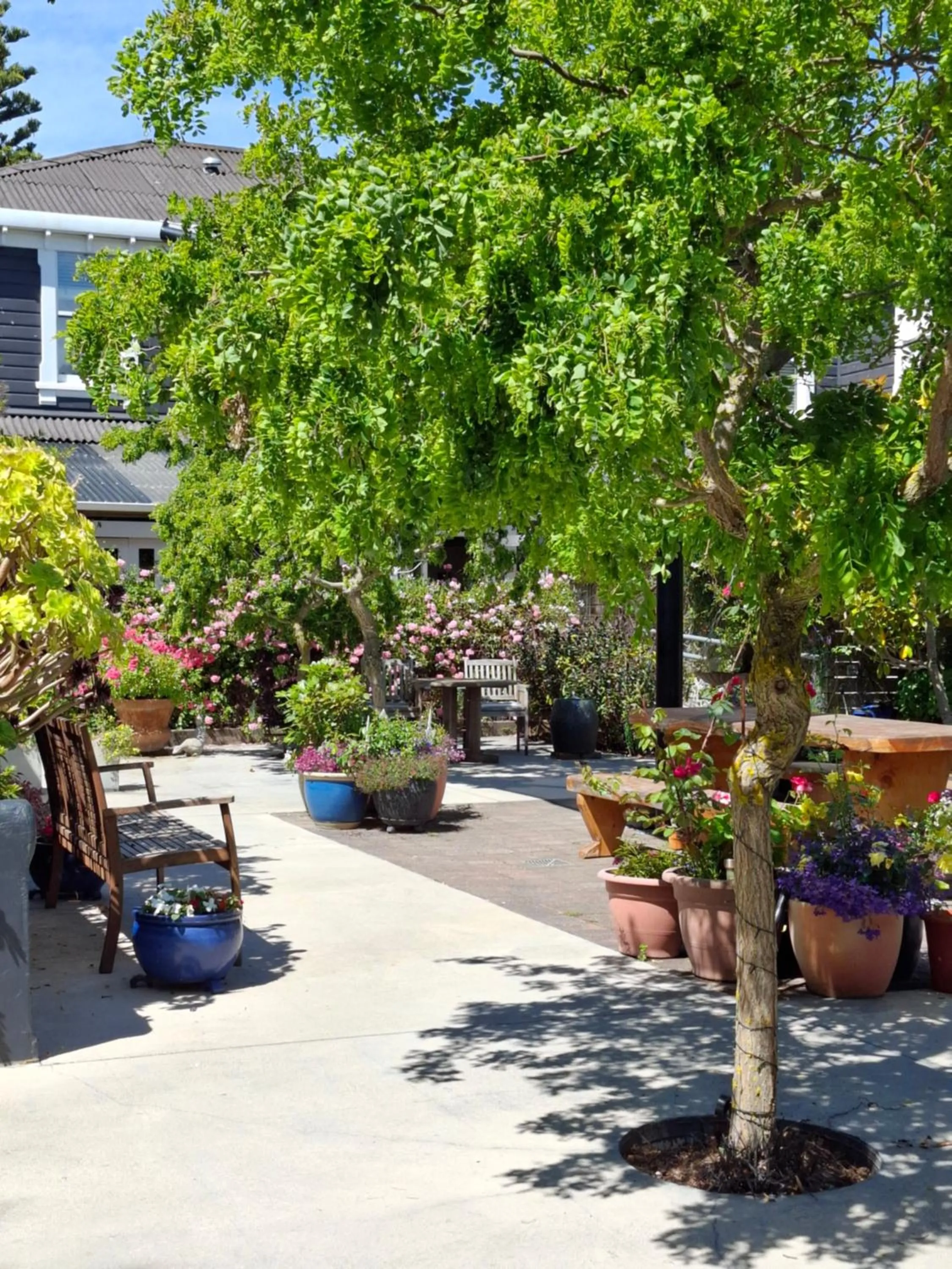 Boutique Hotel Kaikoura