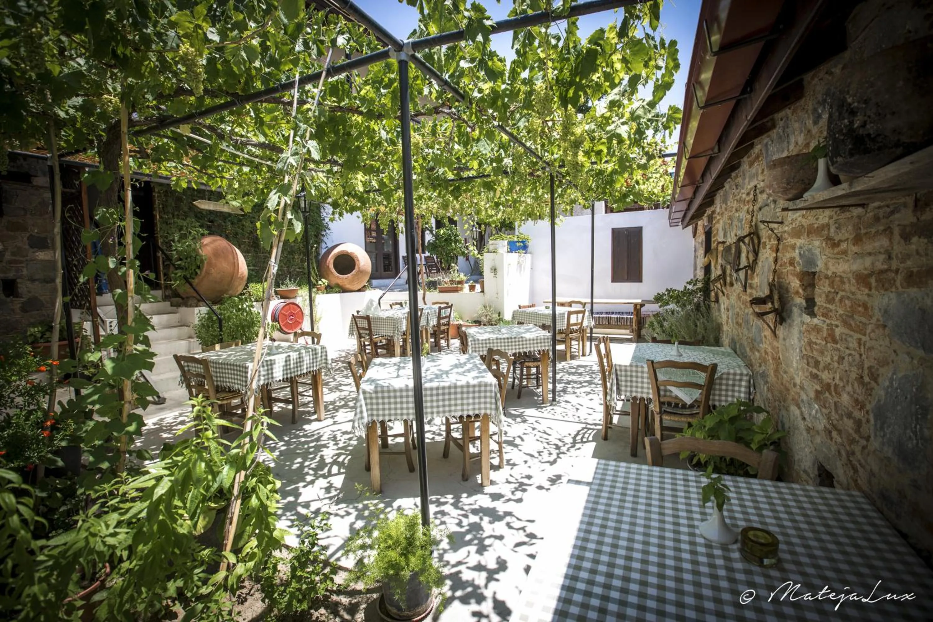 Day in Ambelikos Traditional Agrohotel