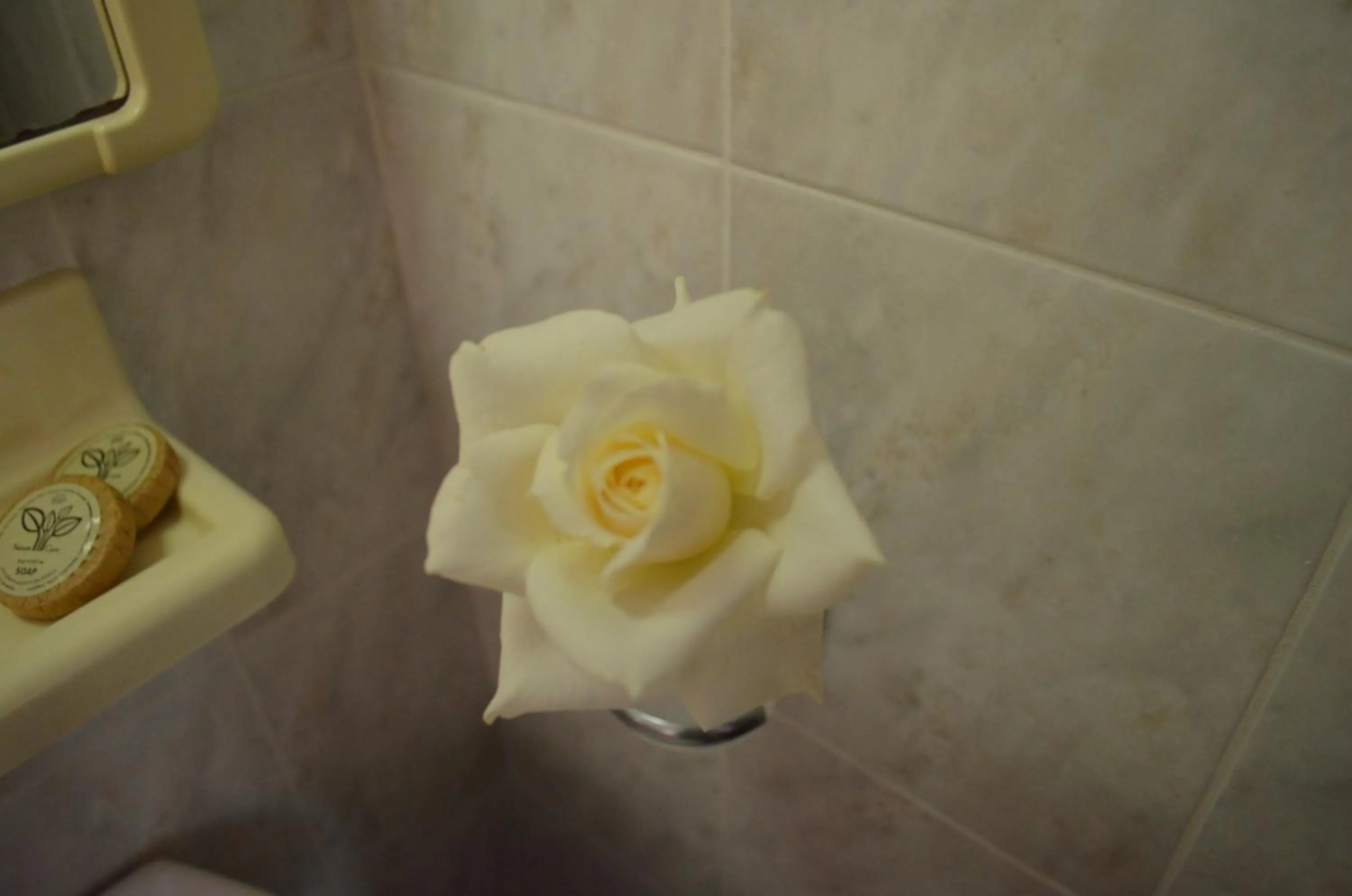 Decorative detail in Kremasti Memories