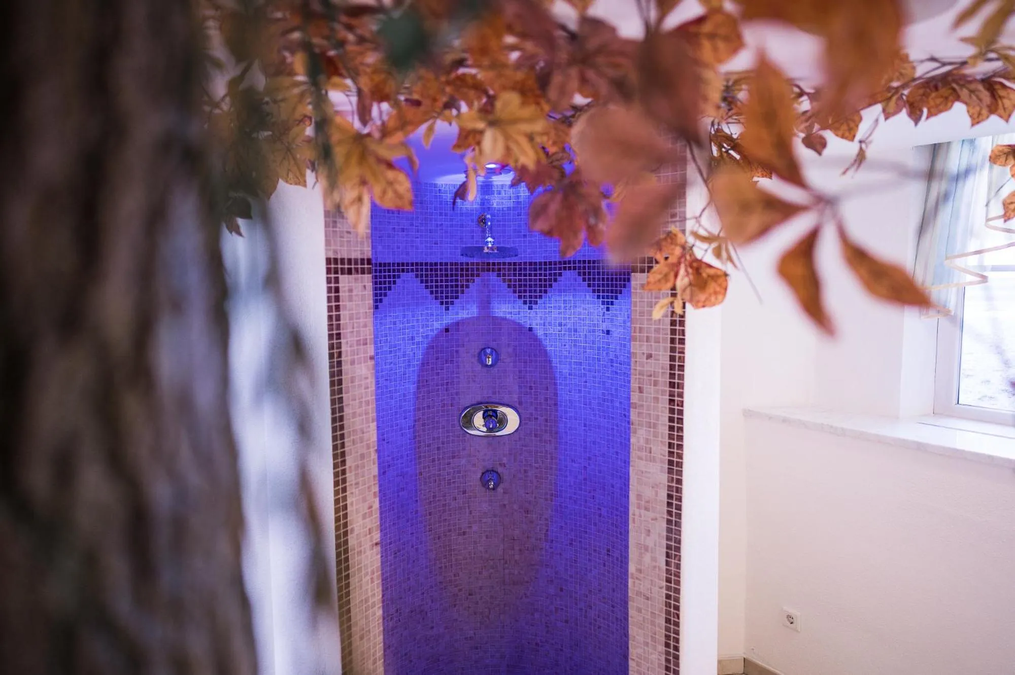 Swimming pool in Hotel Alpenjuwel