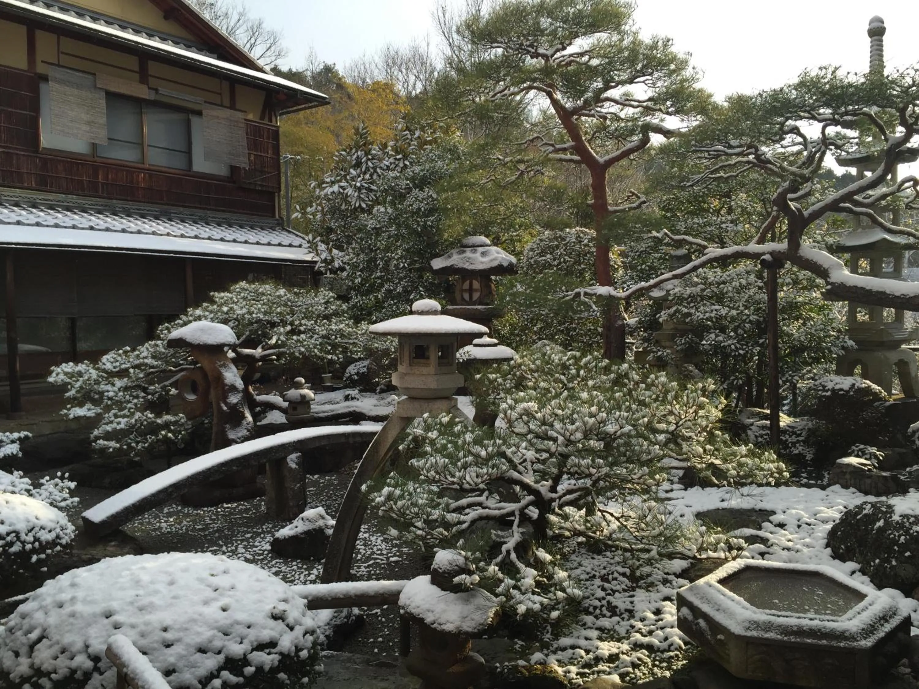 Garden in Ryokan Yamazaki