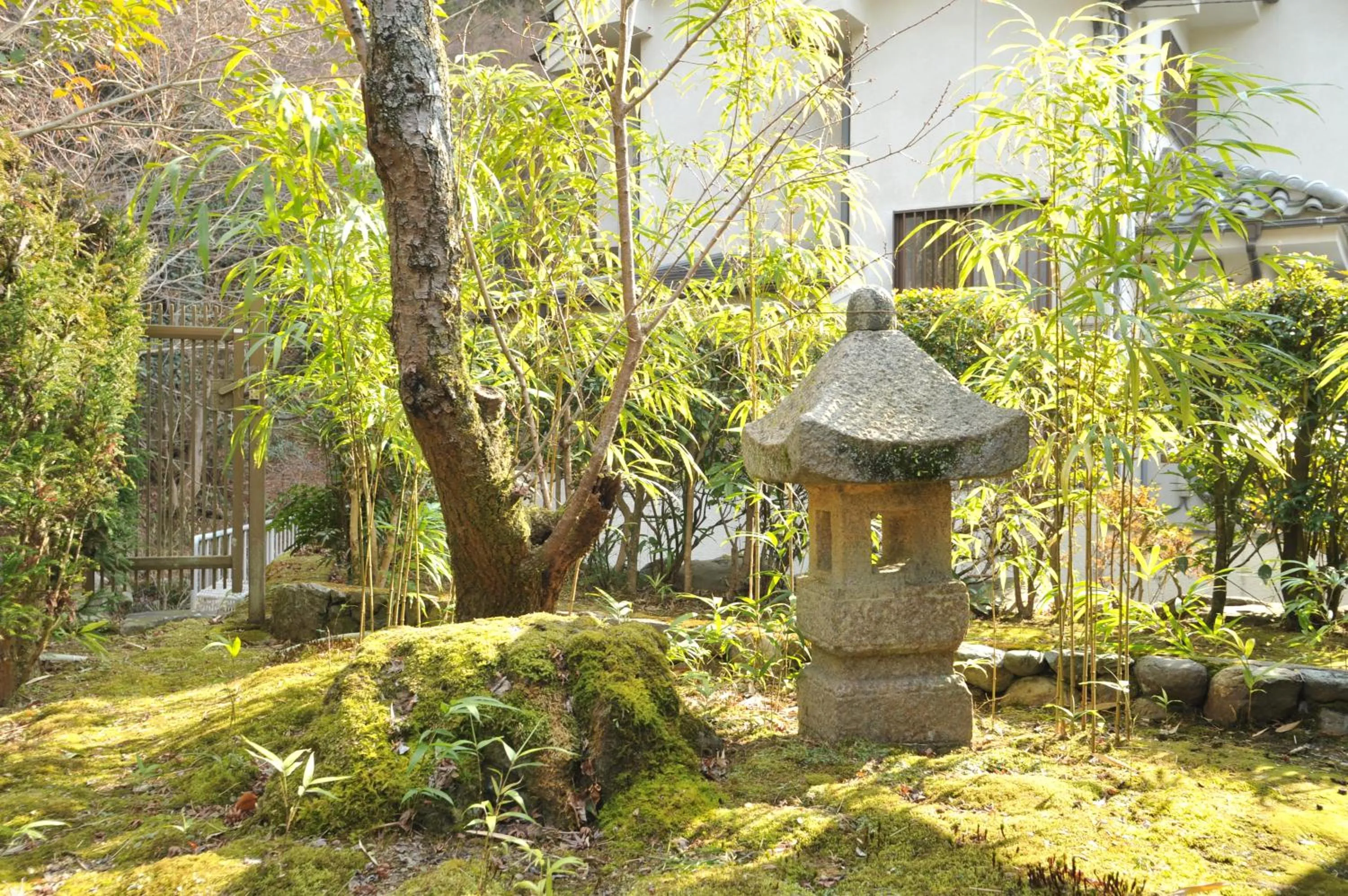 Garden in Ryokan Yamazaki