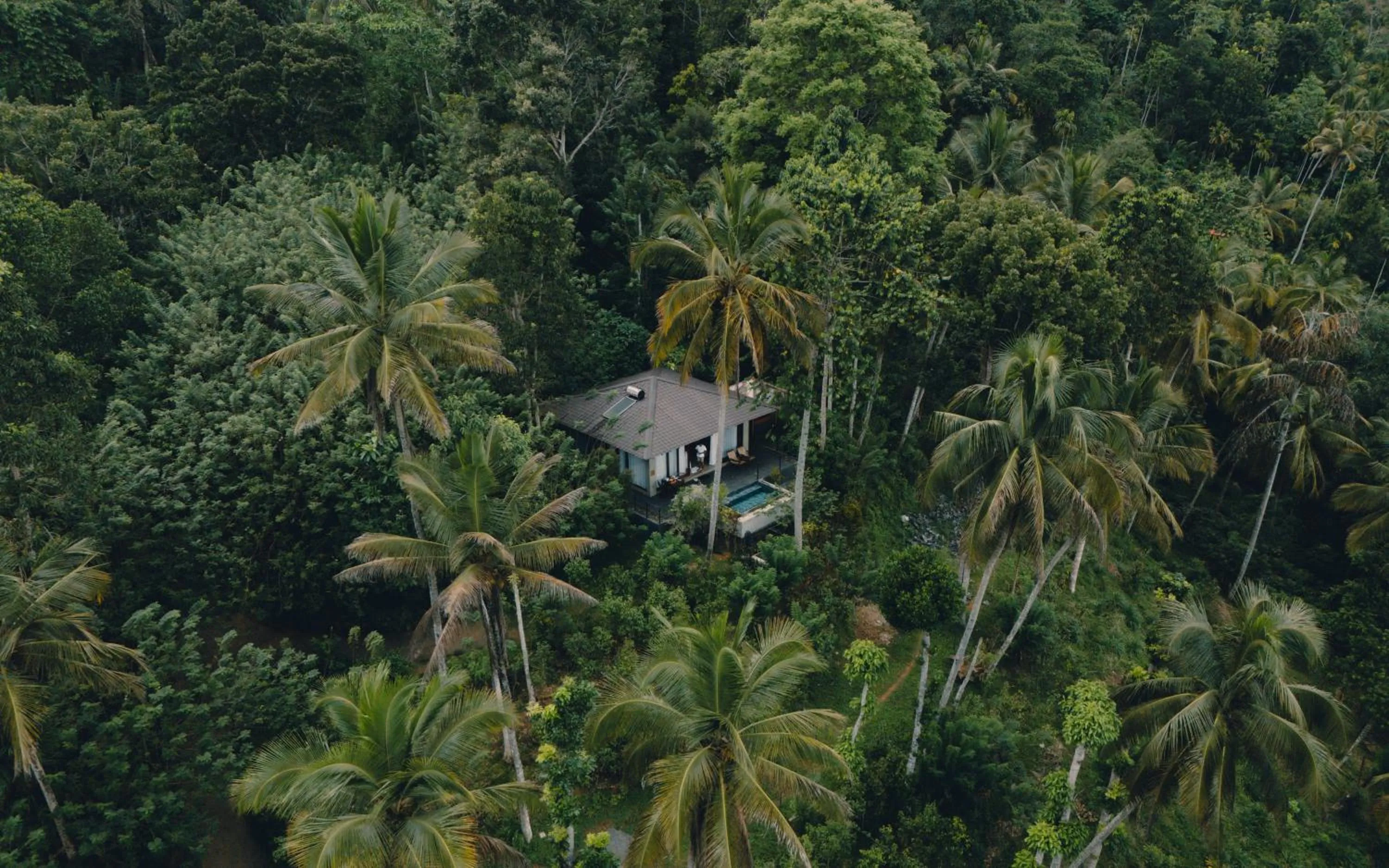 Aarunya Nature Resort - Kandy