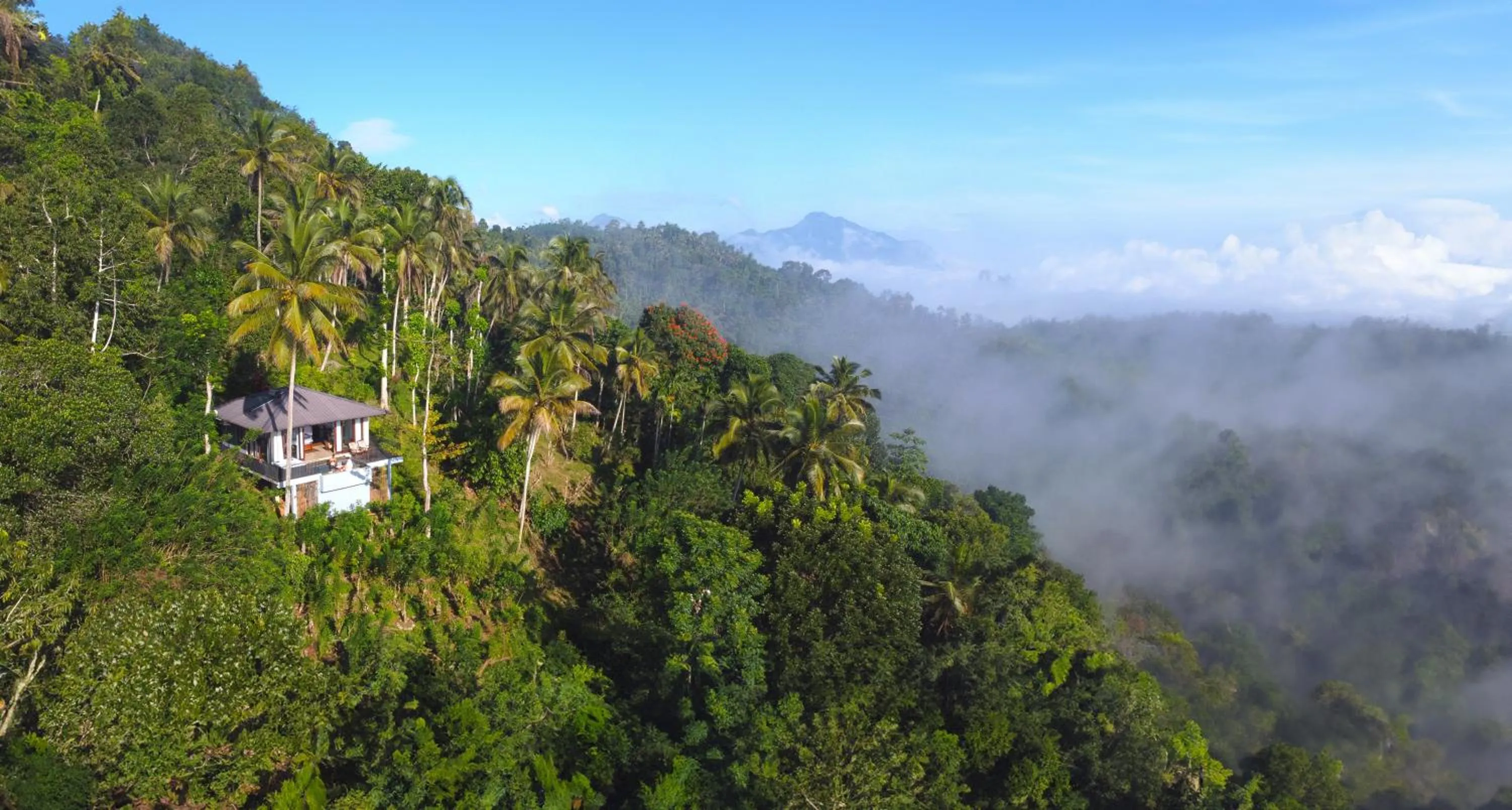 View (from property/room) in Aarunya Nature Resort - Kandy