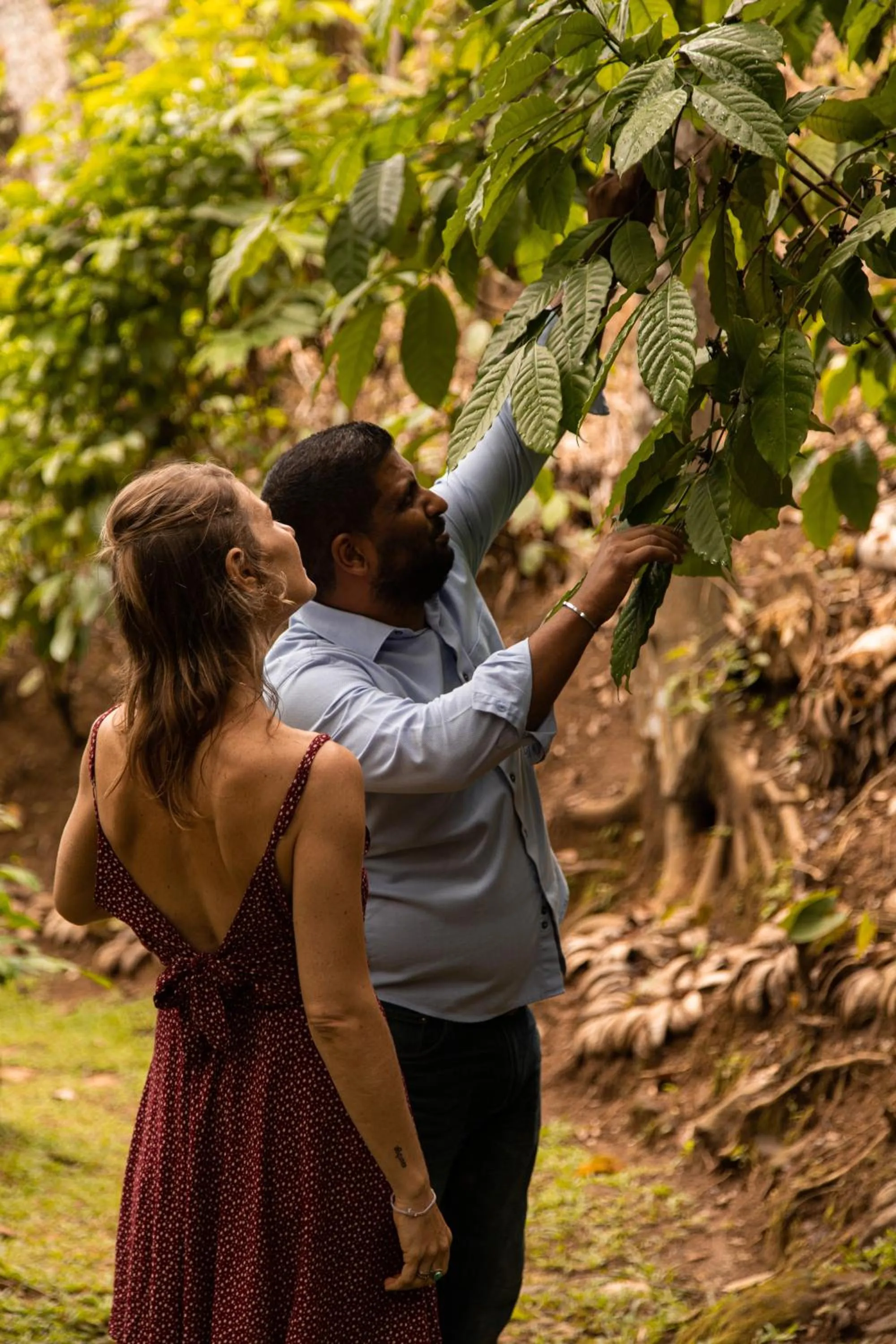 Garden in Aarunya Nature Resort - Kandy