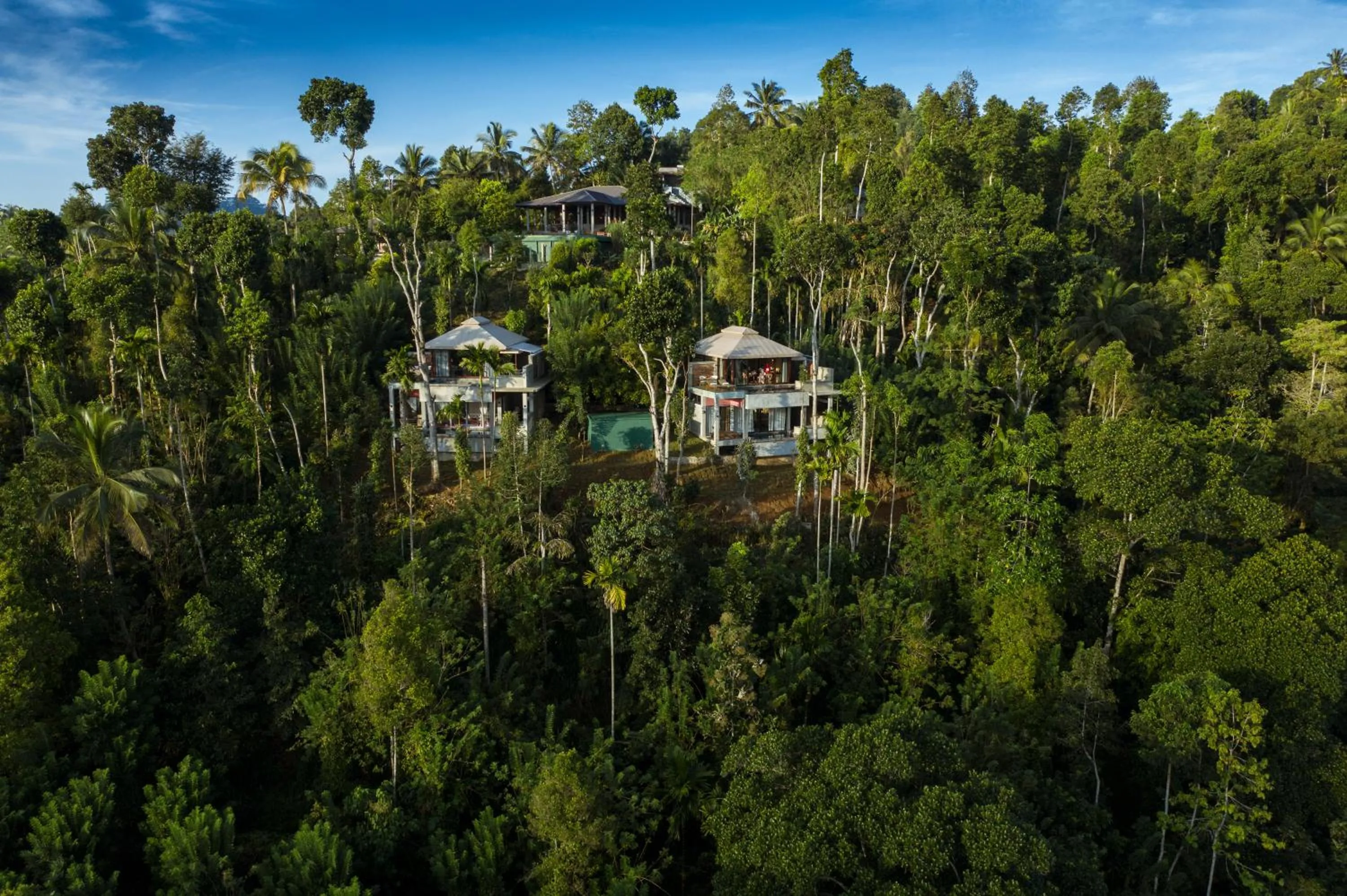 Bird's eye view in Aarunya Nature Resort - Kandy
