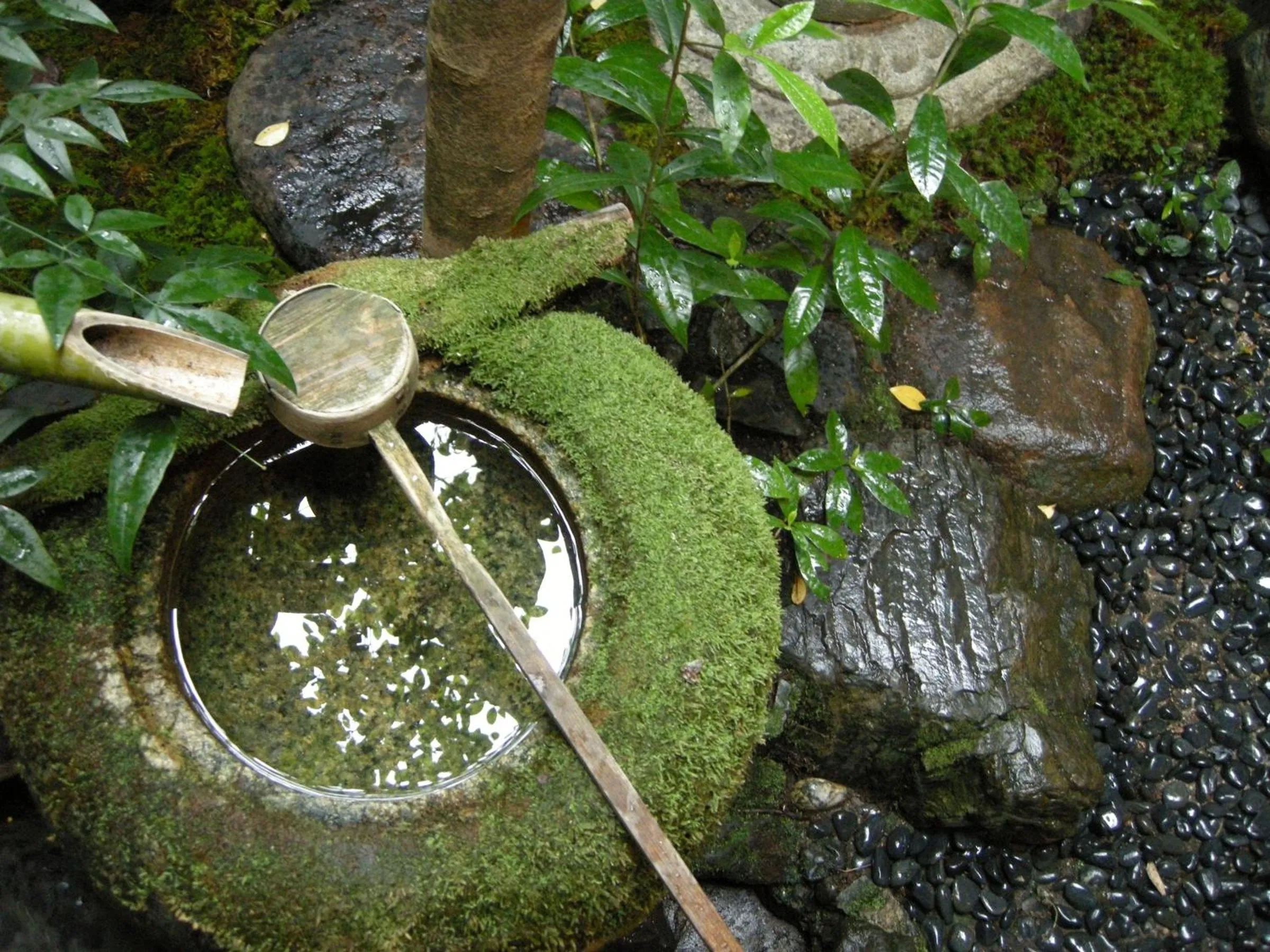 Garden in Guesthouse Itoya Kyoto