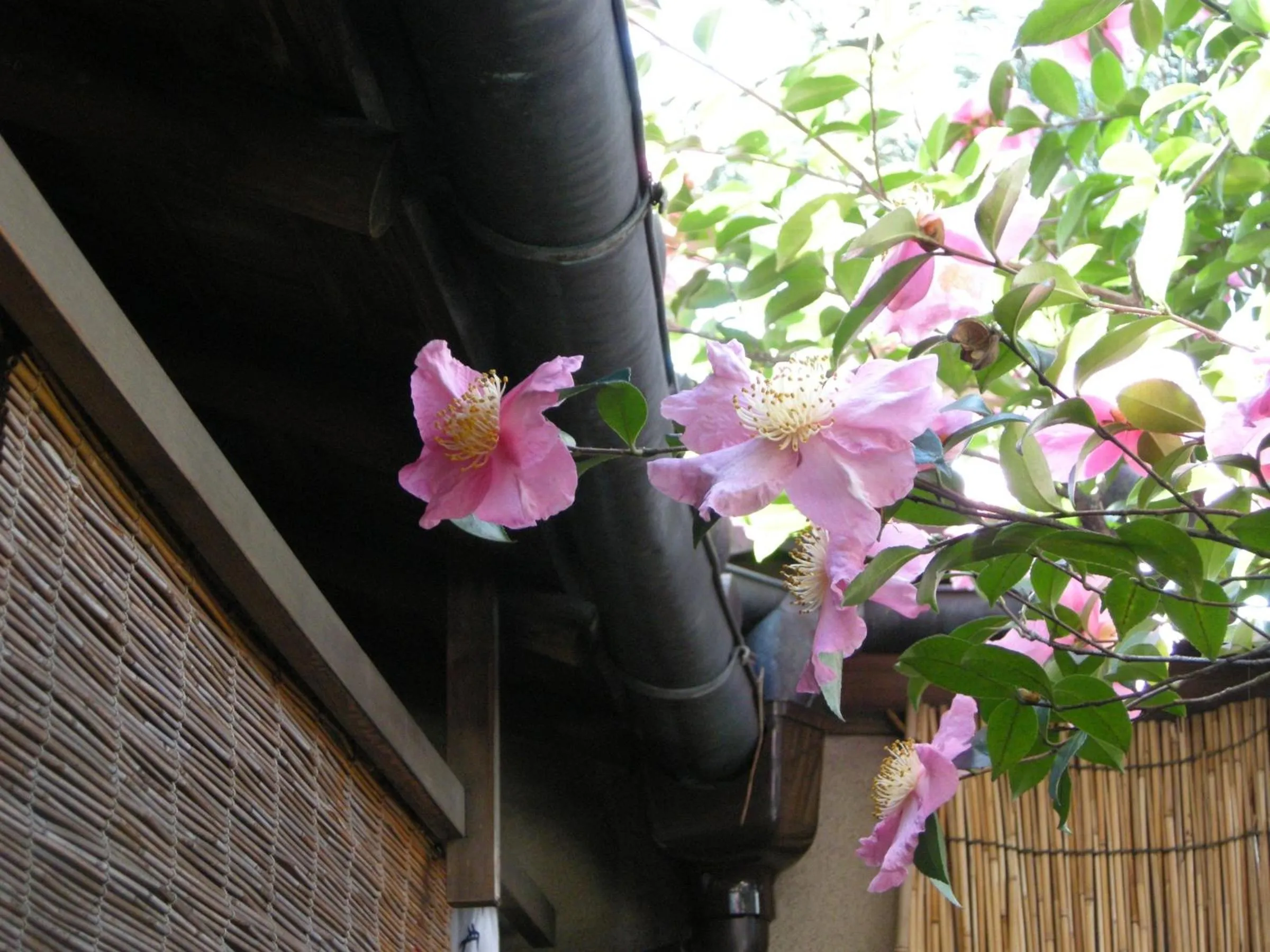 Other in Guesthouse Itoya Kyoto