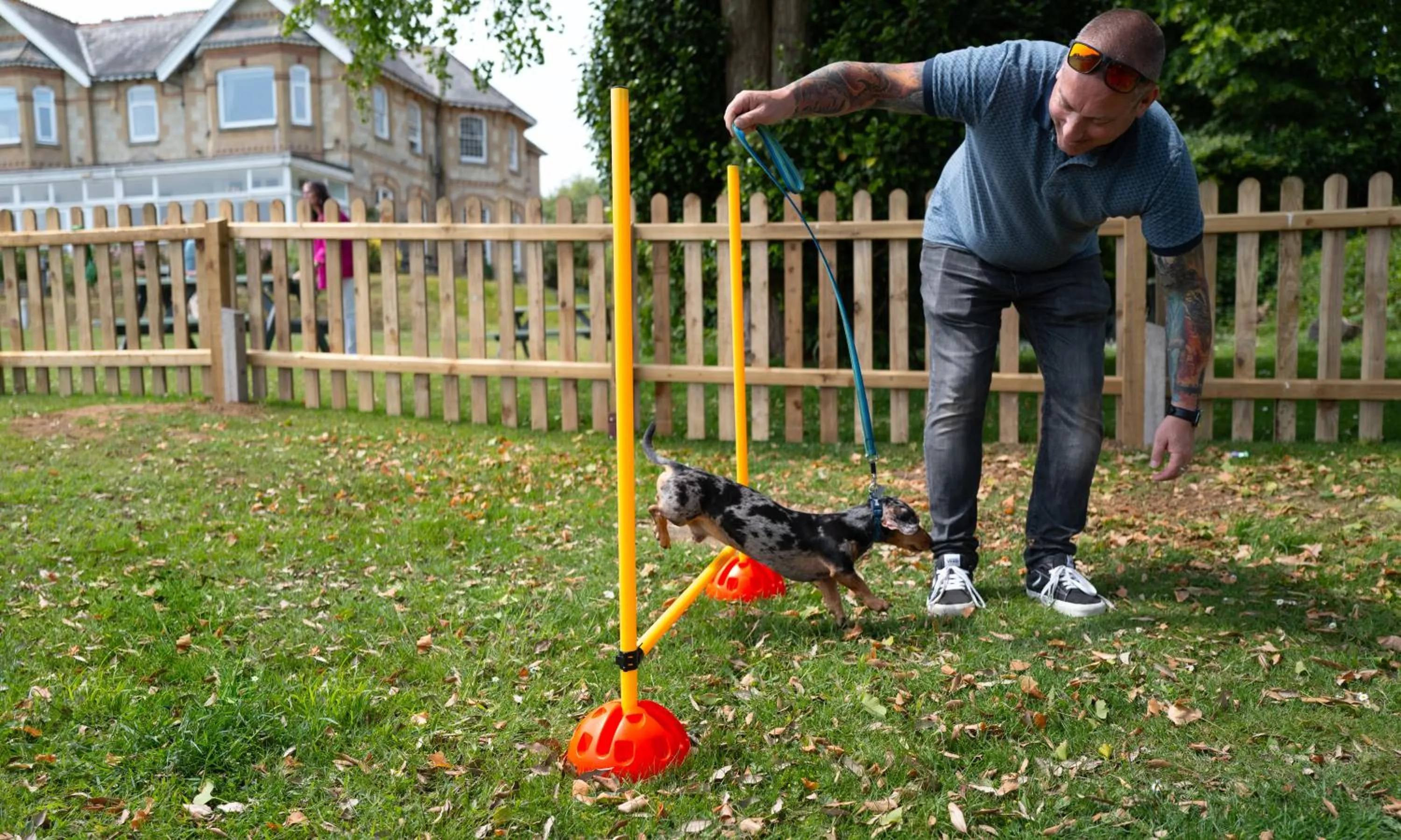 Pets in Luccombe Manor Country House Hotel