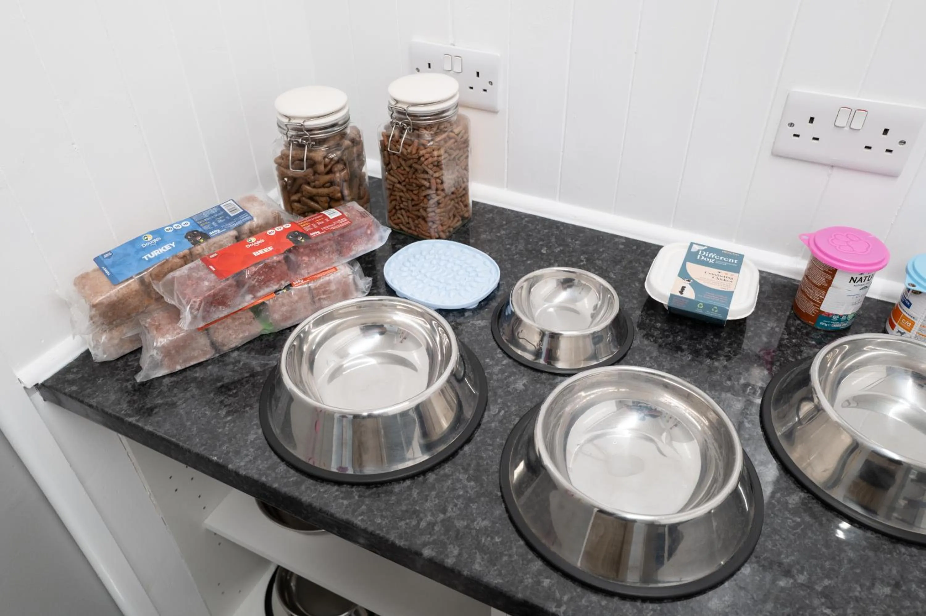 pet friendly in Luccombe Manor Country House Hotel