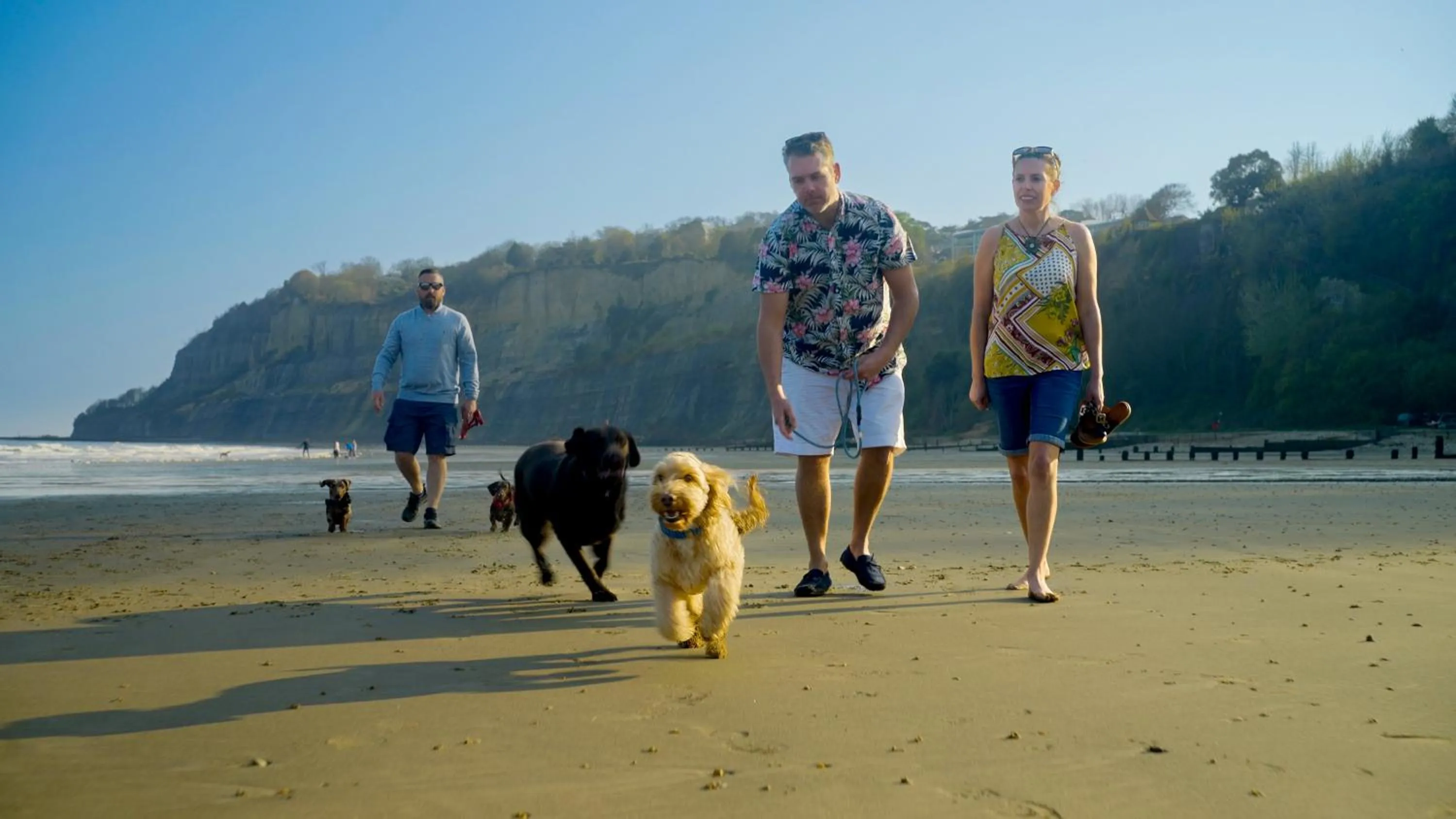 Beach in Luccombe Manor Country House Hotel