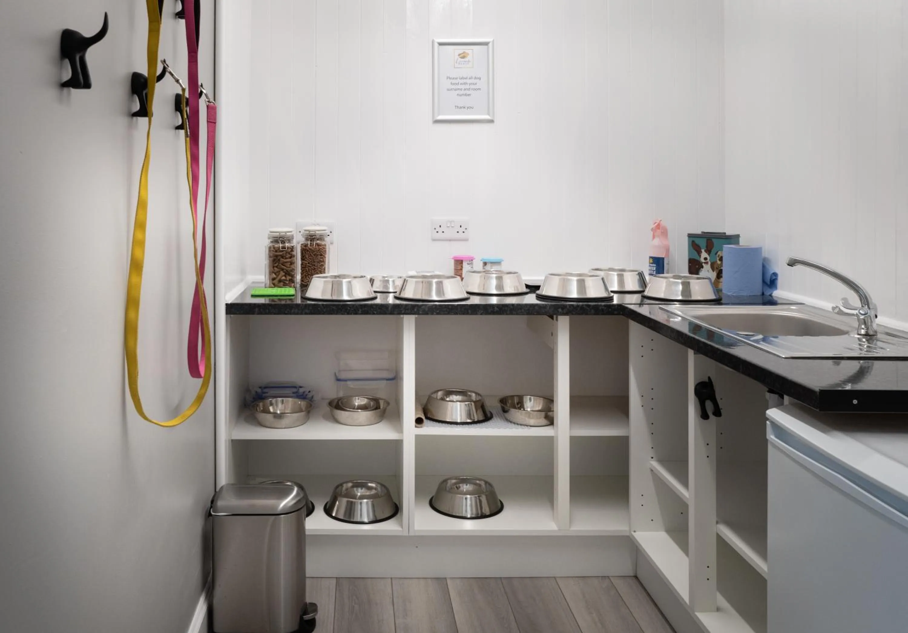 pet friendly in Luccombe Manor Country House Hotel