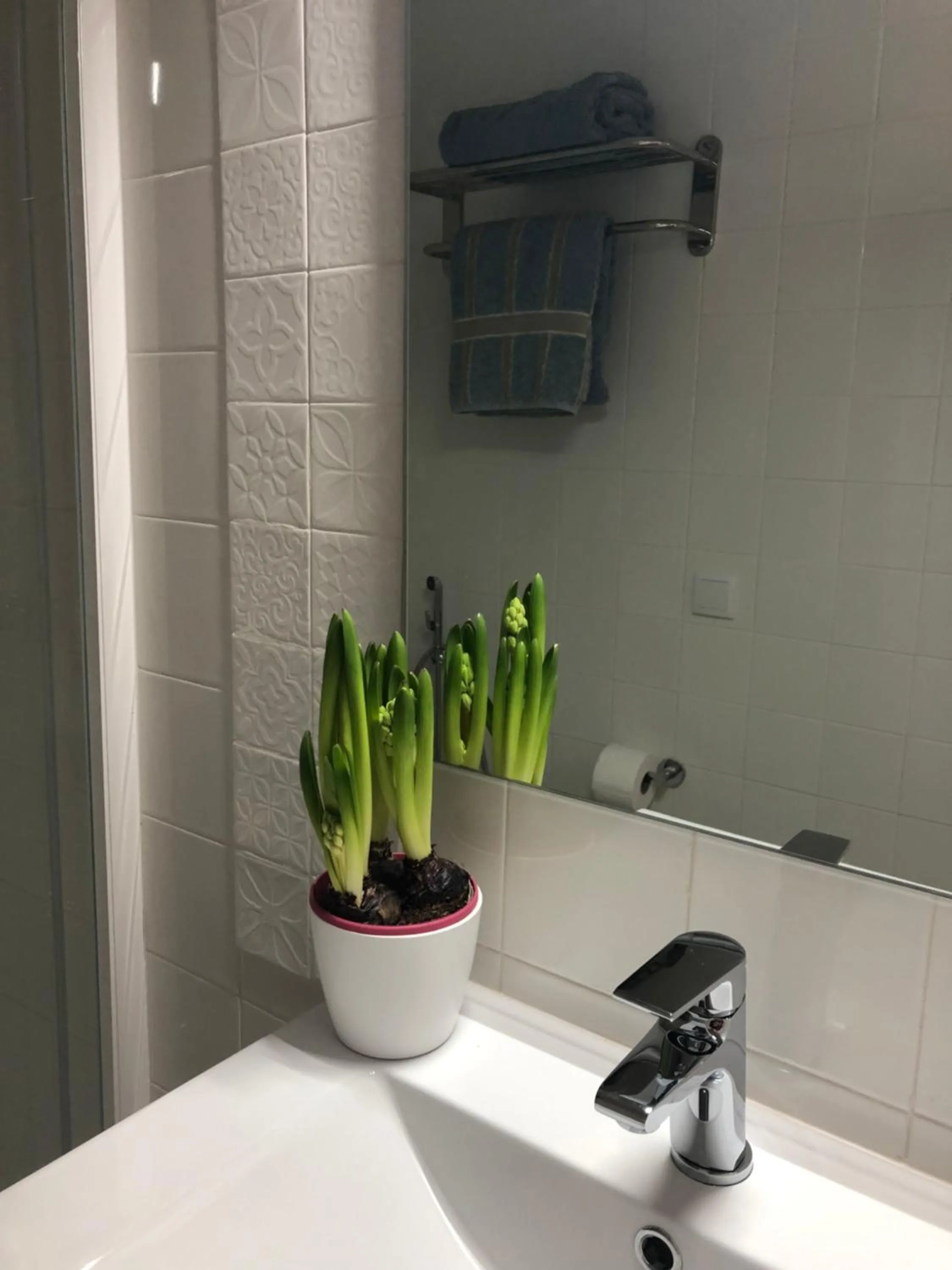 Quinta Nova do Almeida