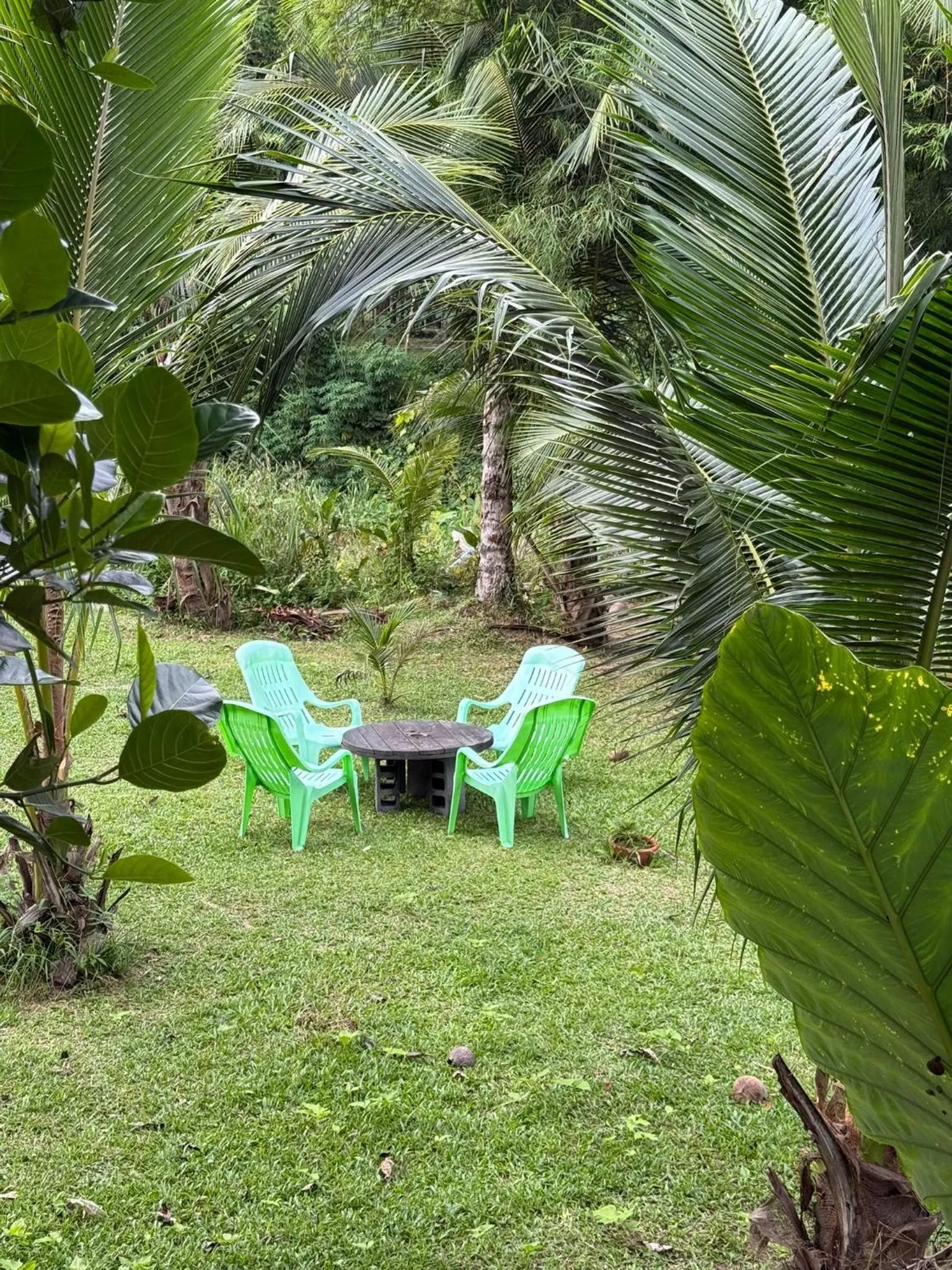 Garden in Baan Hinlad Home and Hostel