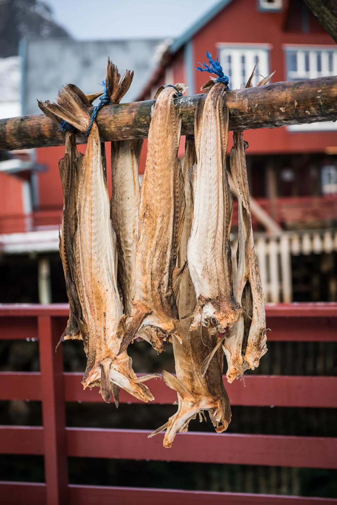 Neighbourhood in Å Rorbuer - by Classic Norway Hotels