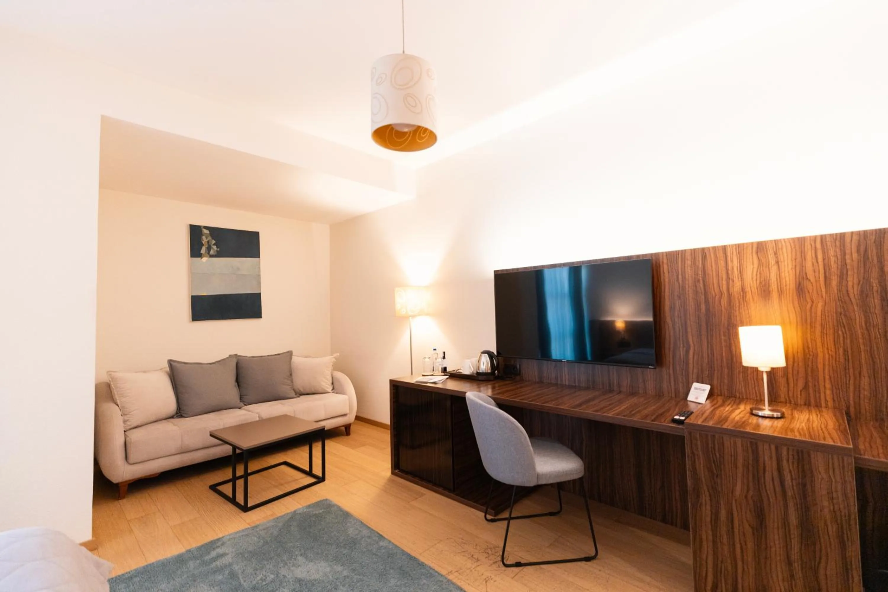 TV and multimedia in Hotel Sirius