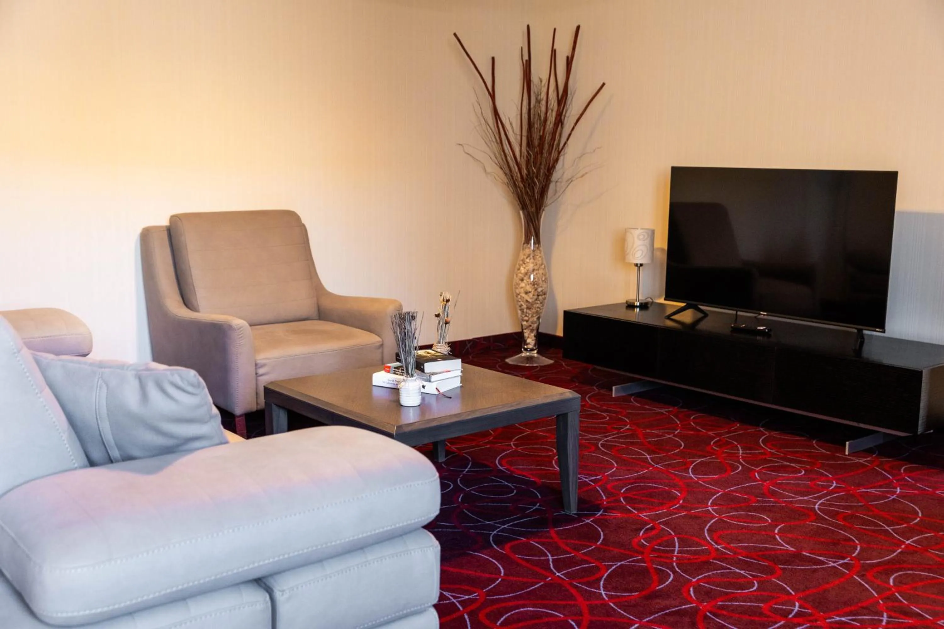 TV and multimedia in Hotel Sirius