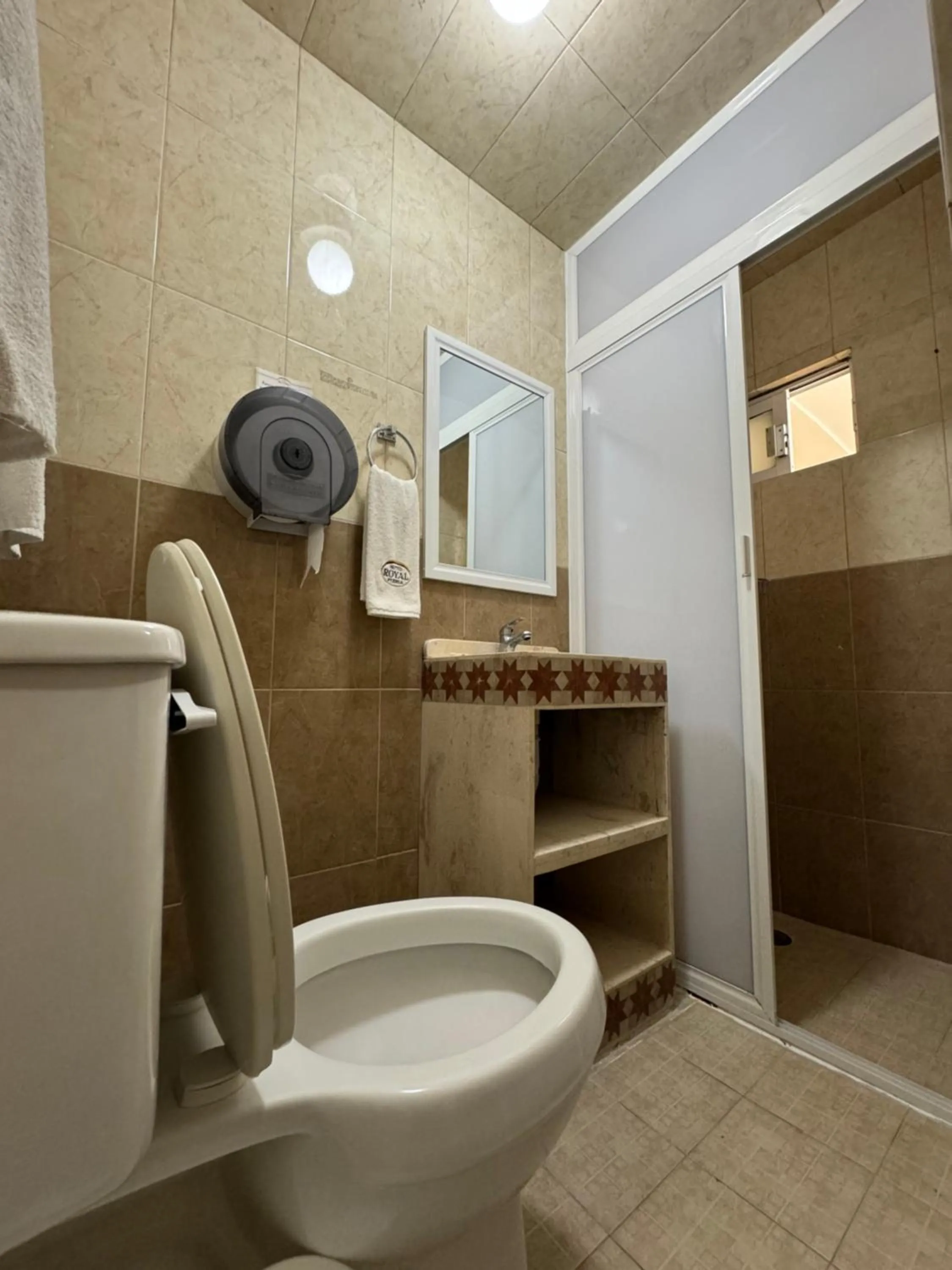 Shower in Hotel Royal Puebla