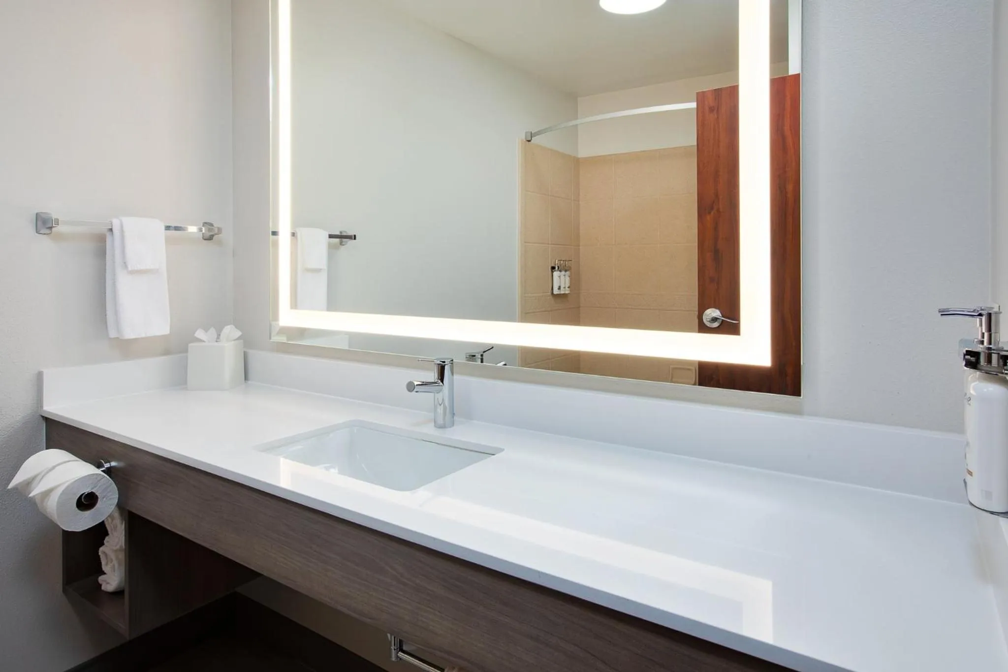 Bathroom in Holiday Inn Express & Suites Sioux Falls Southwest by IHG