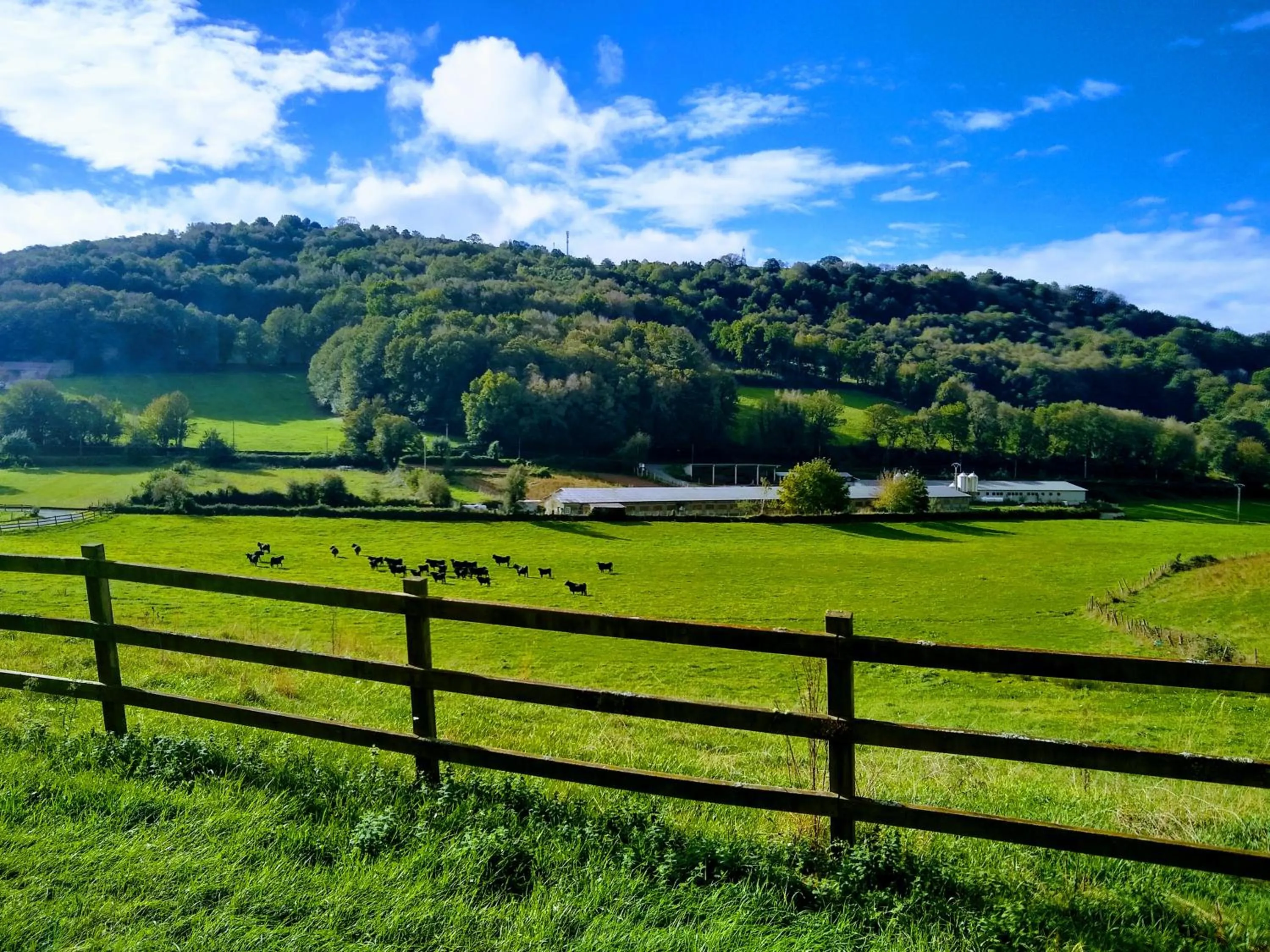 Garden in Casa Pacios by M de Santiago