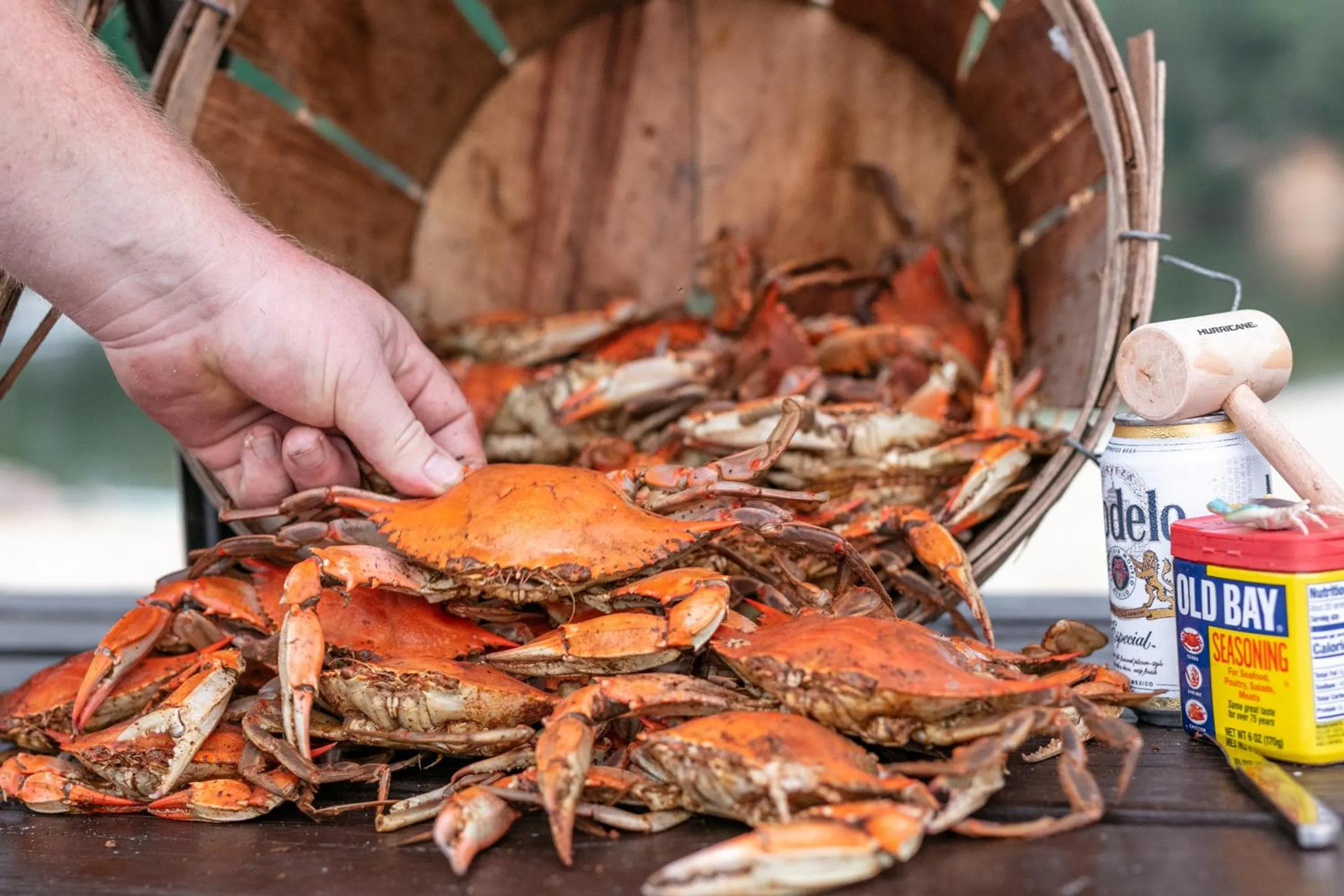 Food close-up in The Tides Inn