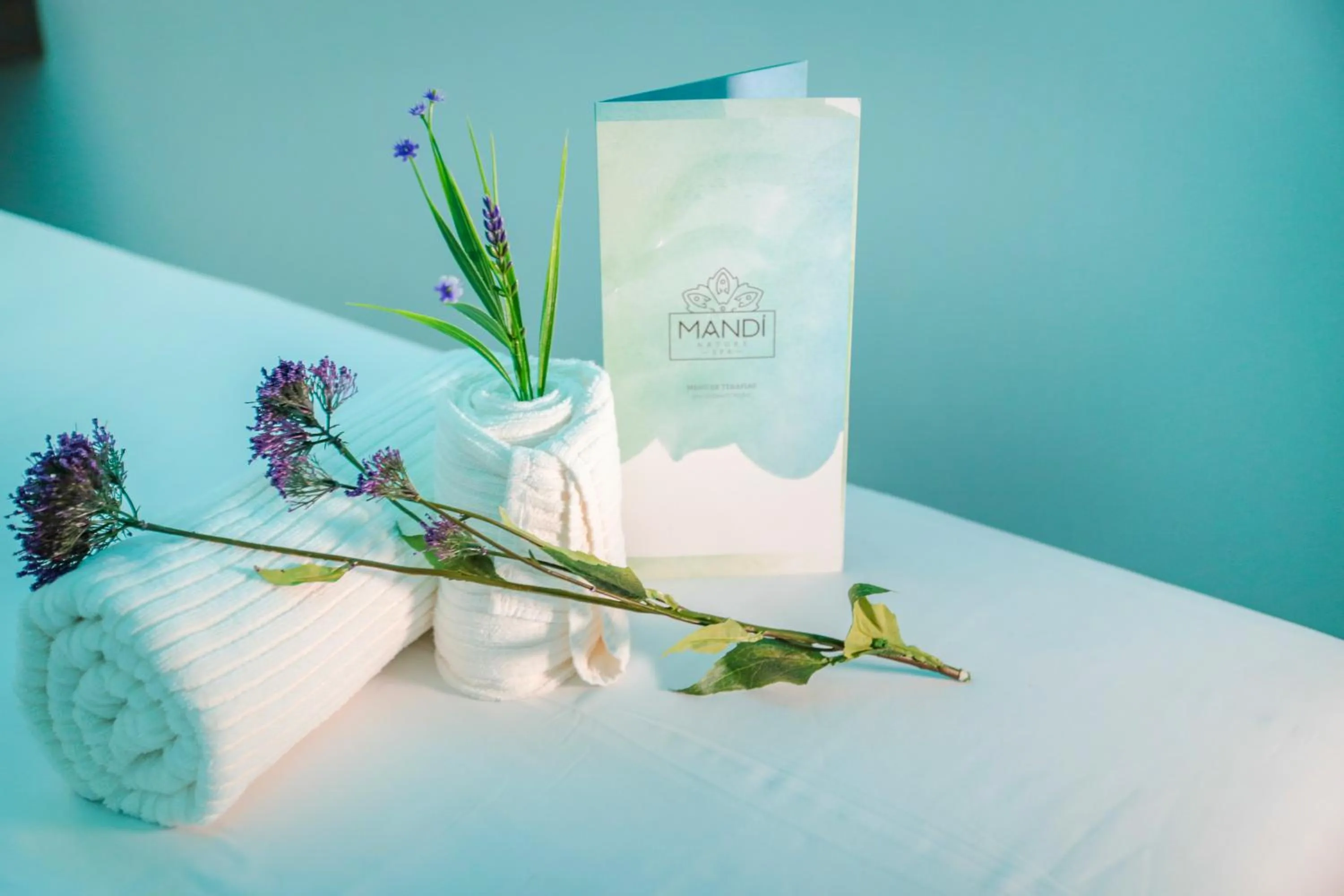 Spa and wellness centre/facilities, Bed in Gran Bourbon Hotel Asuncion