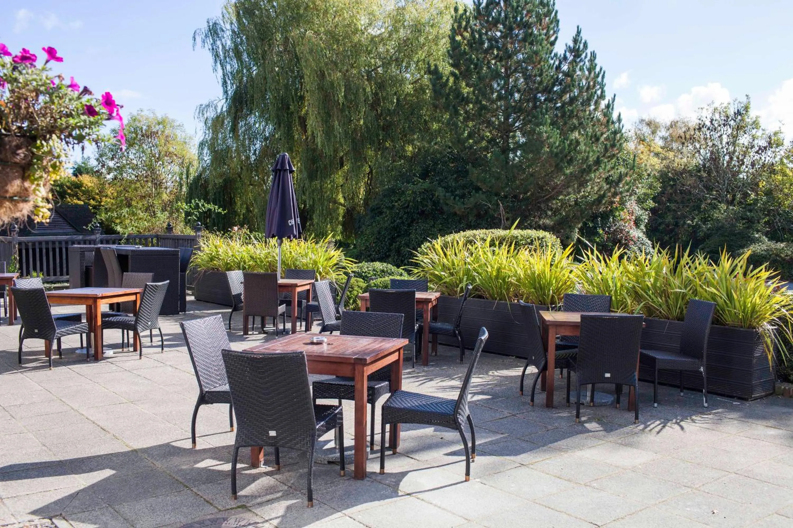 Patio in White Rabbit by Chef & Brewer Collection