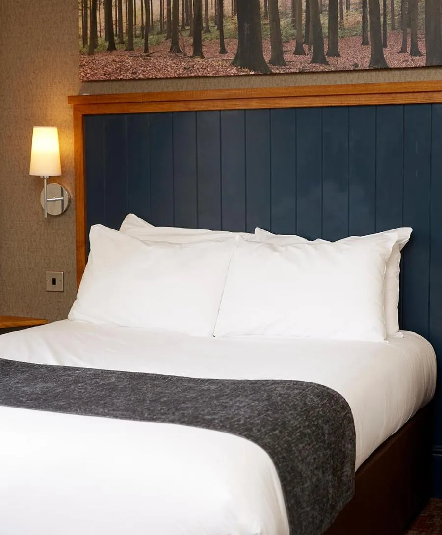 Bed in White Rabbit by Chef & Brewer Collection