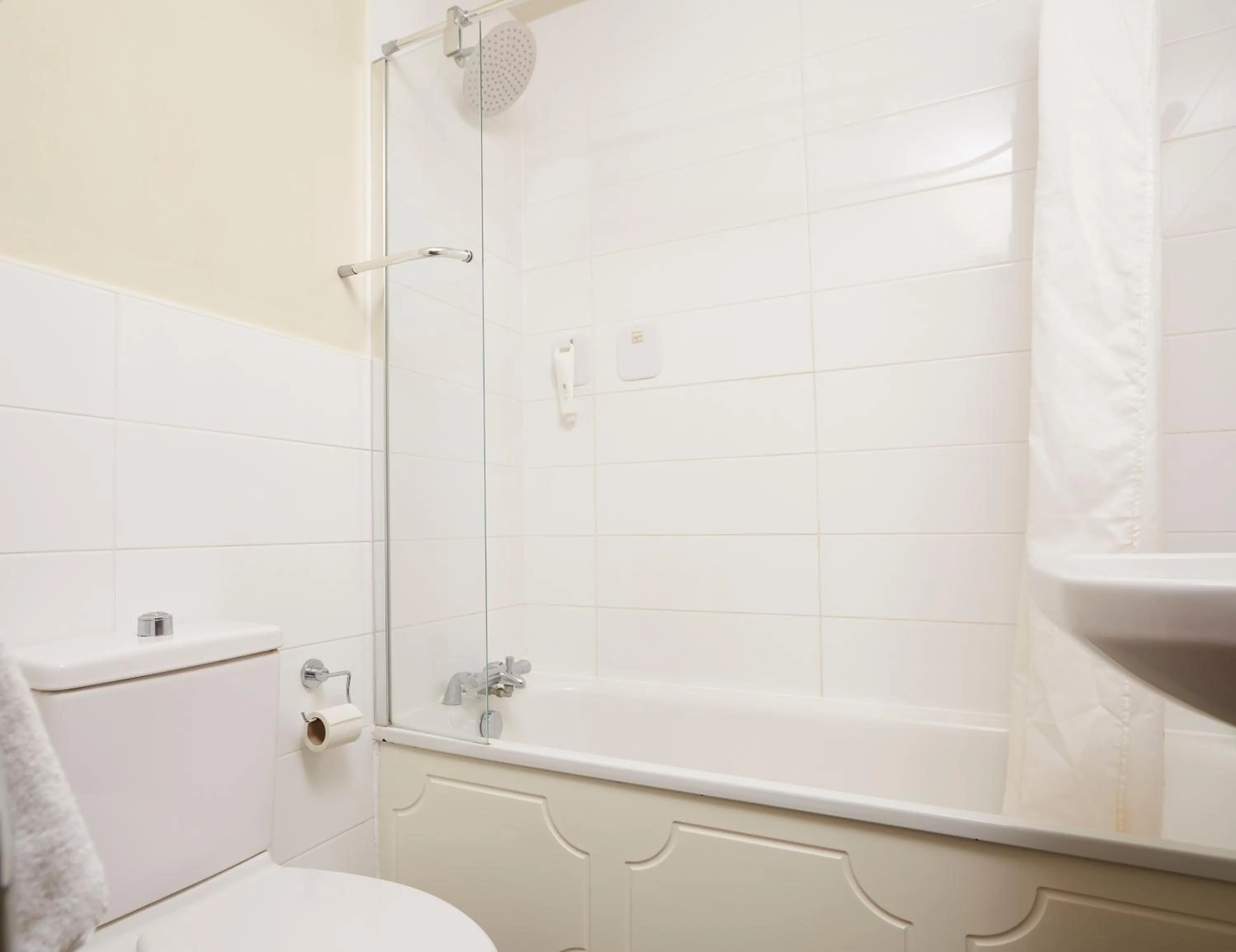 White Rabbit by Chef & Brewer Collection