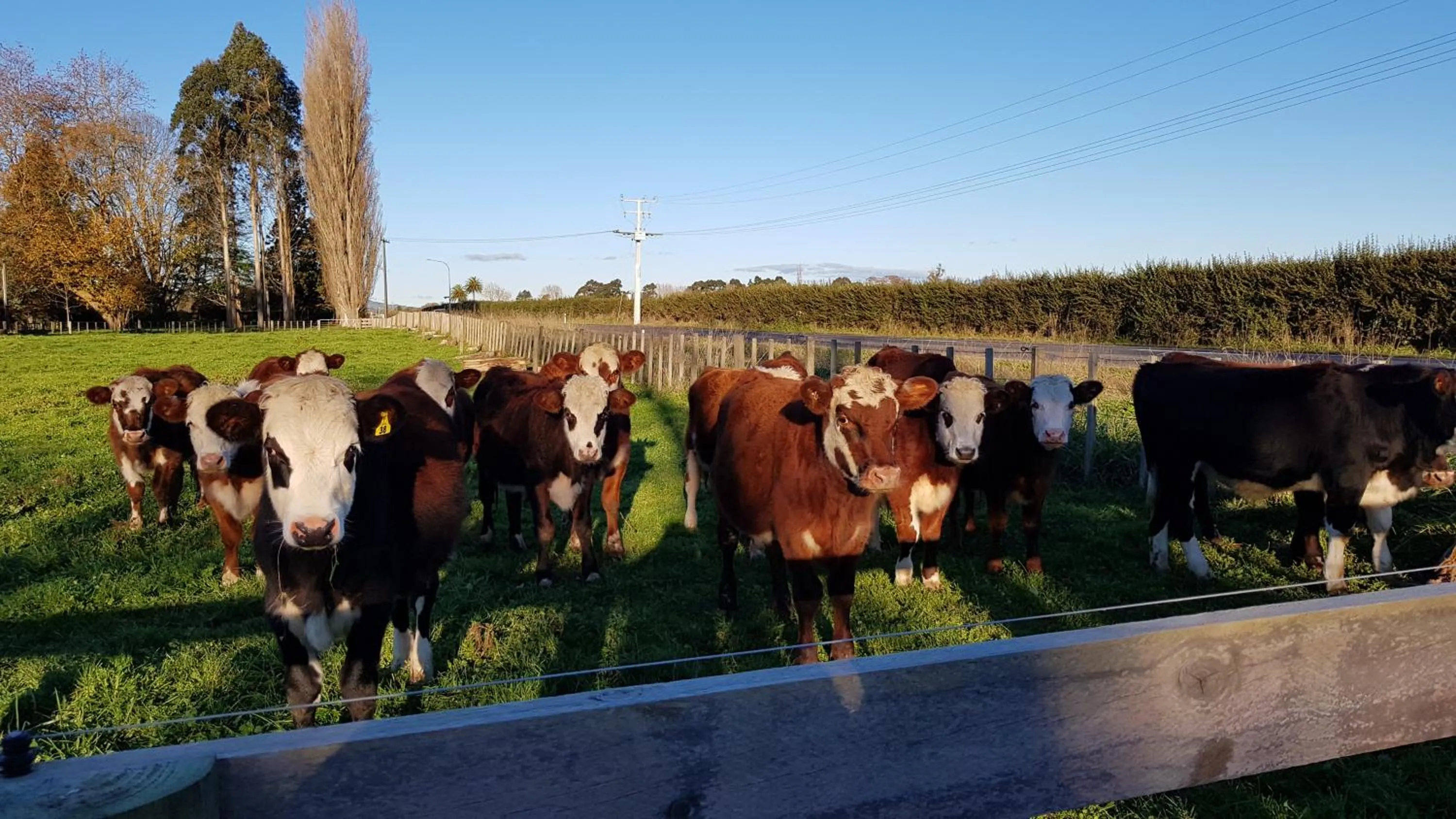 Property building in Bruntwoodlodge