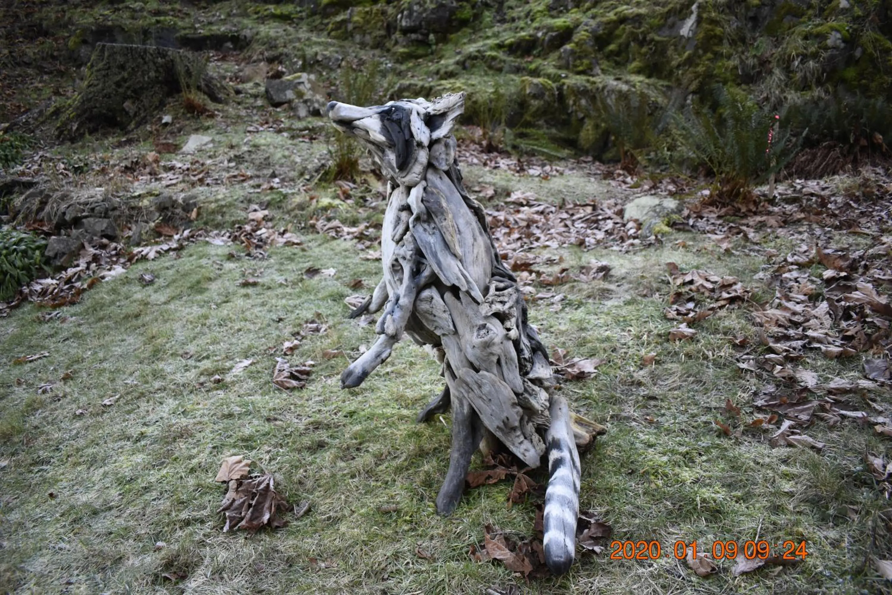 Natural landscape in High Point Resort