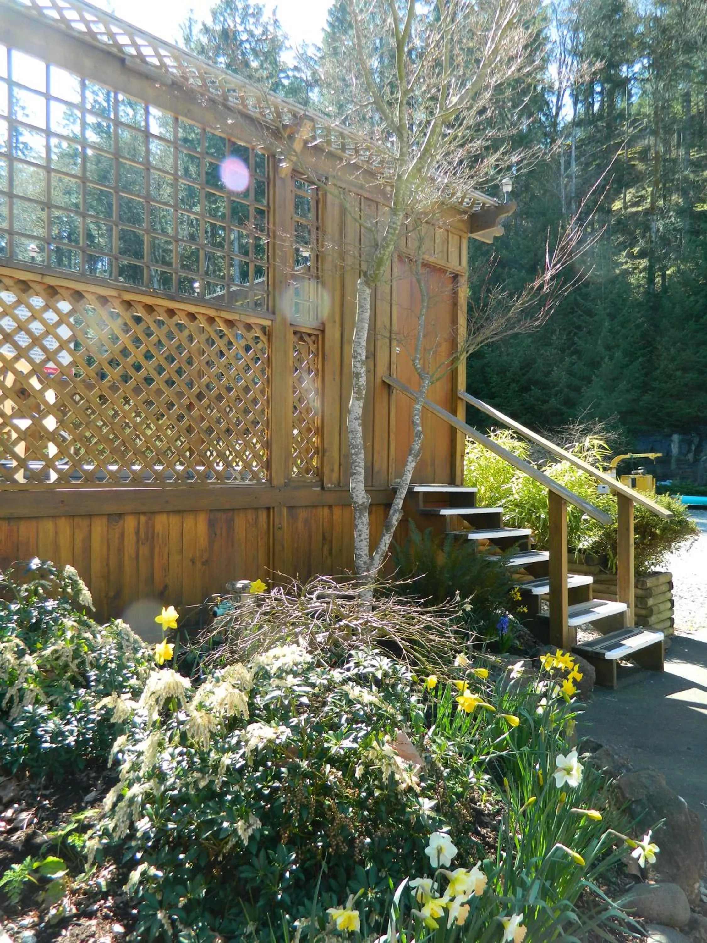 Property building in High Point Resort